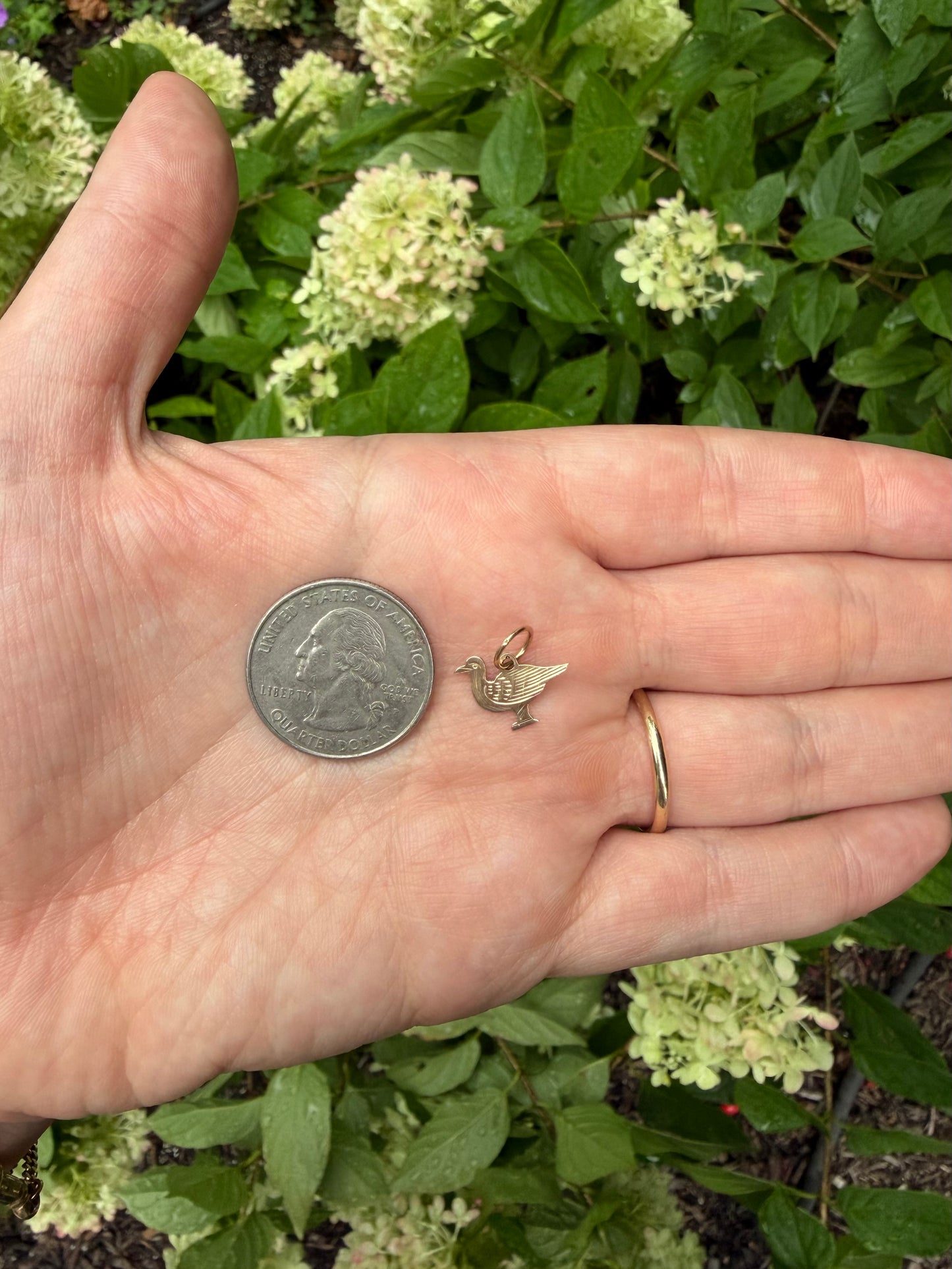 Seagull Charm