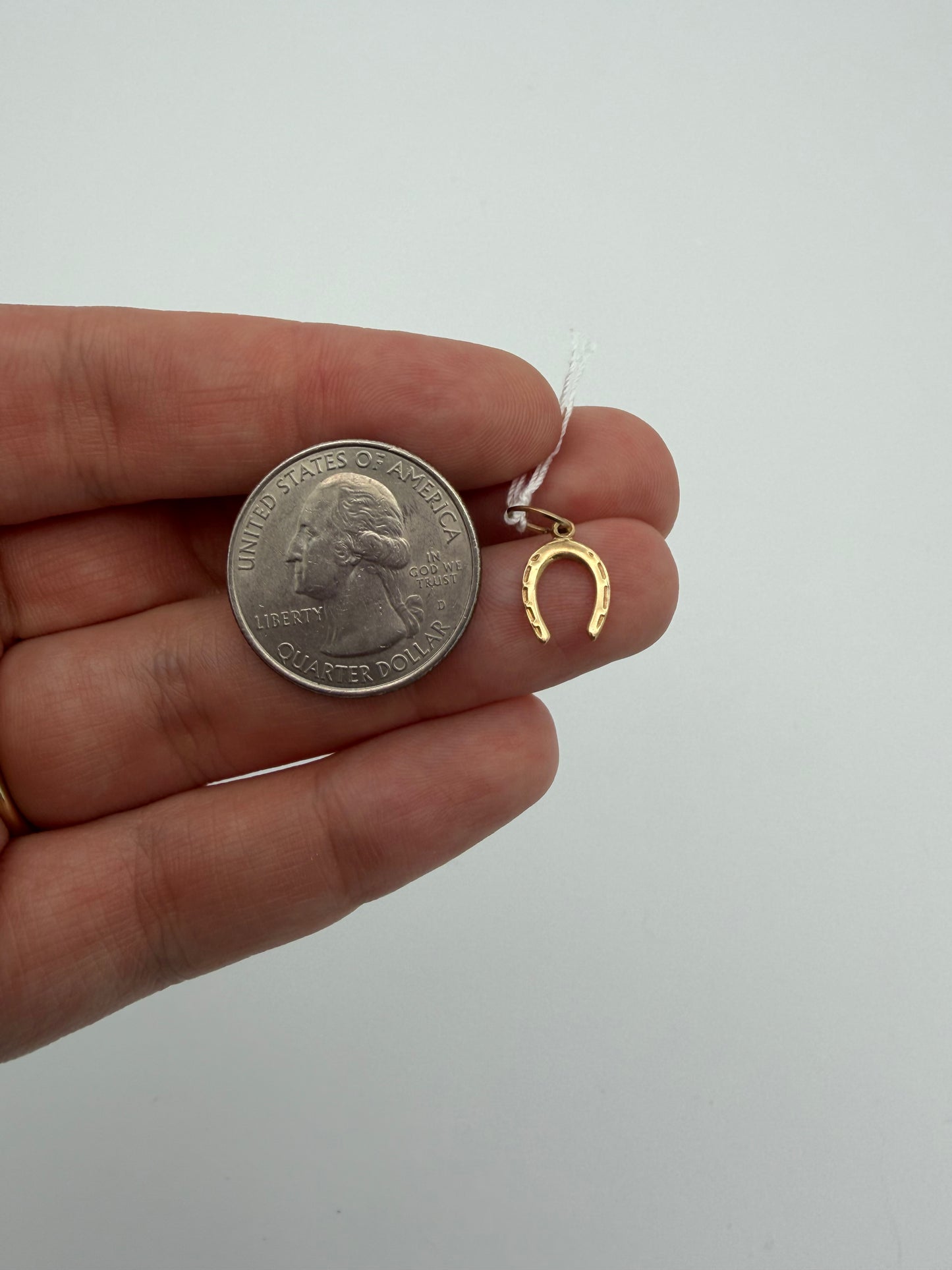 10k Horseshoe