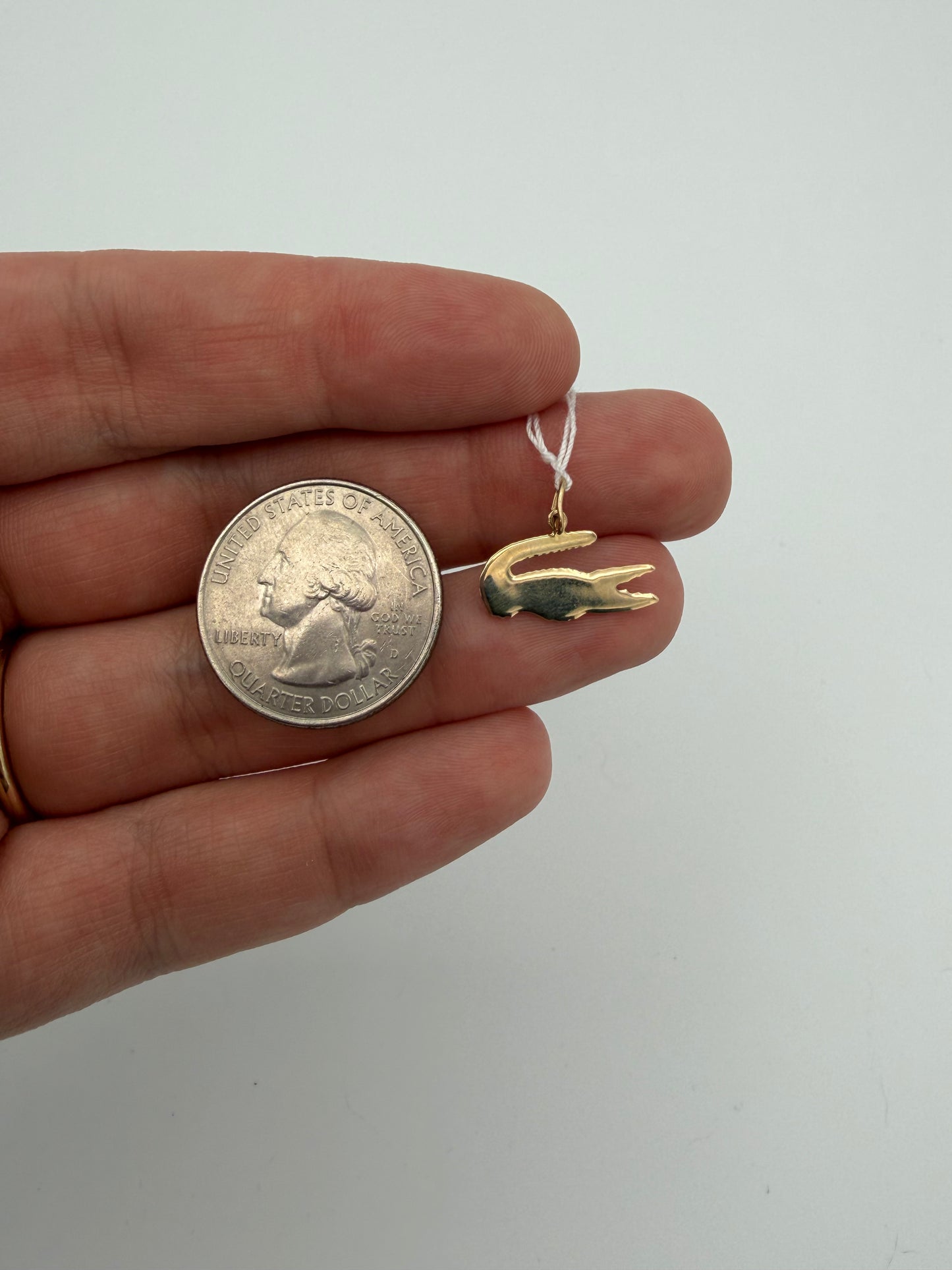 14k Alligator