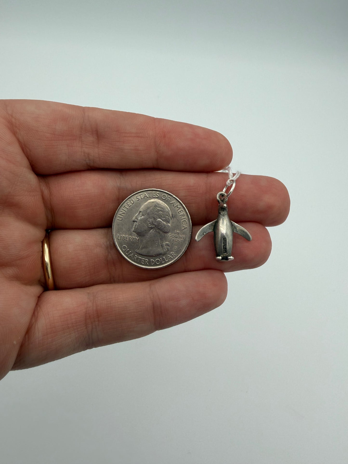 Penguin Charm