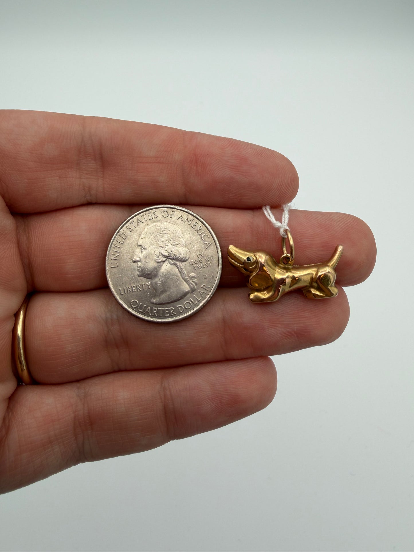 9k Dachshund