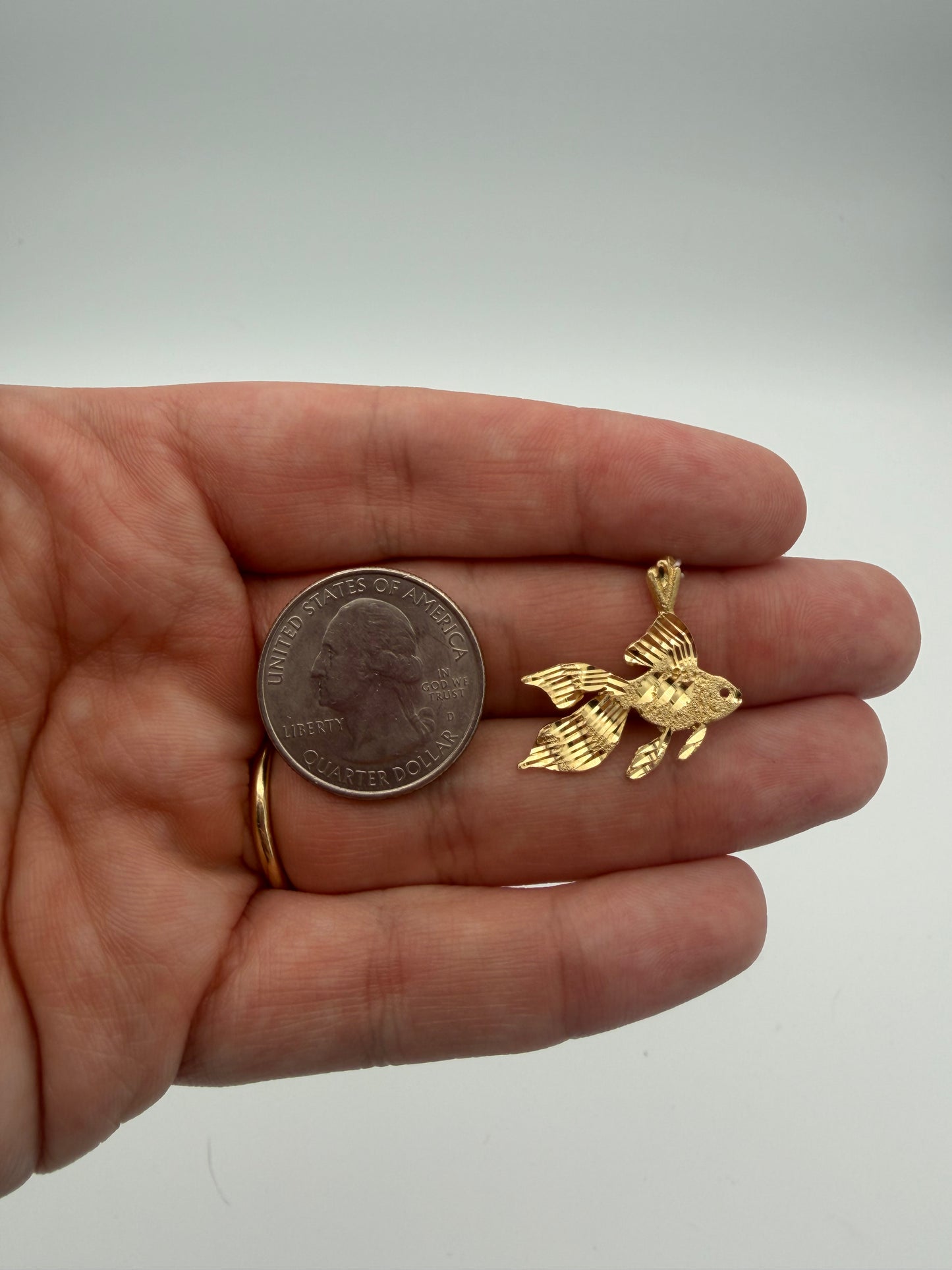 14k Fish