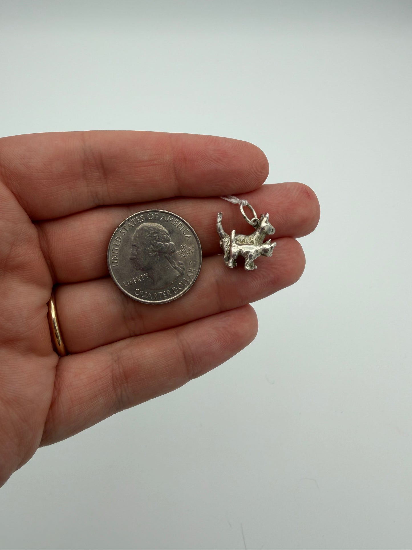 Mama and Baby Cat Charm