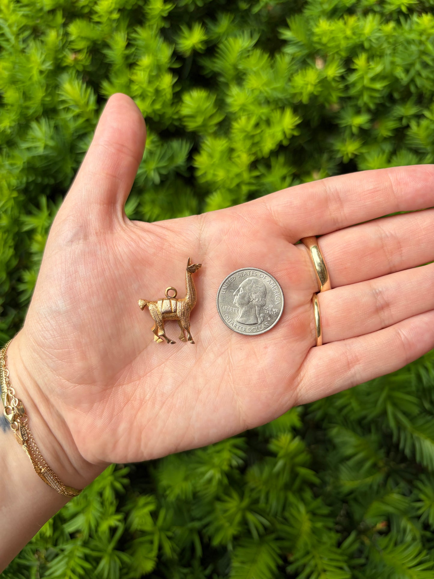 18k Alpaca