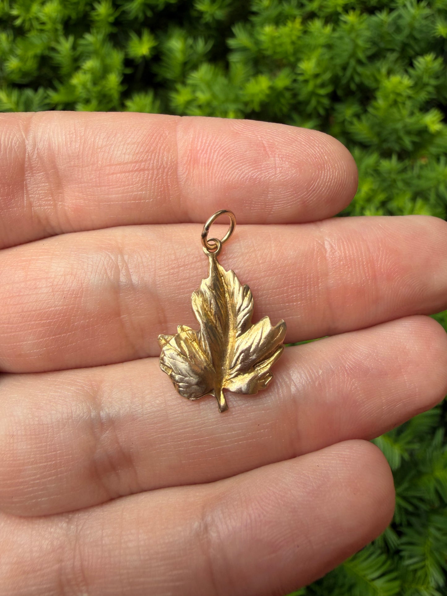 10k Maple Leaf