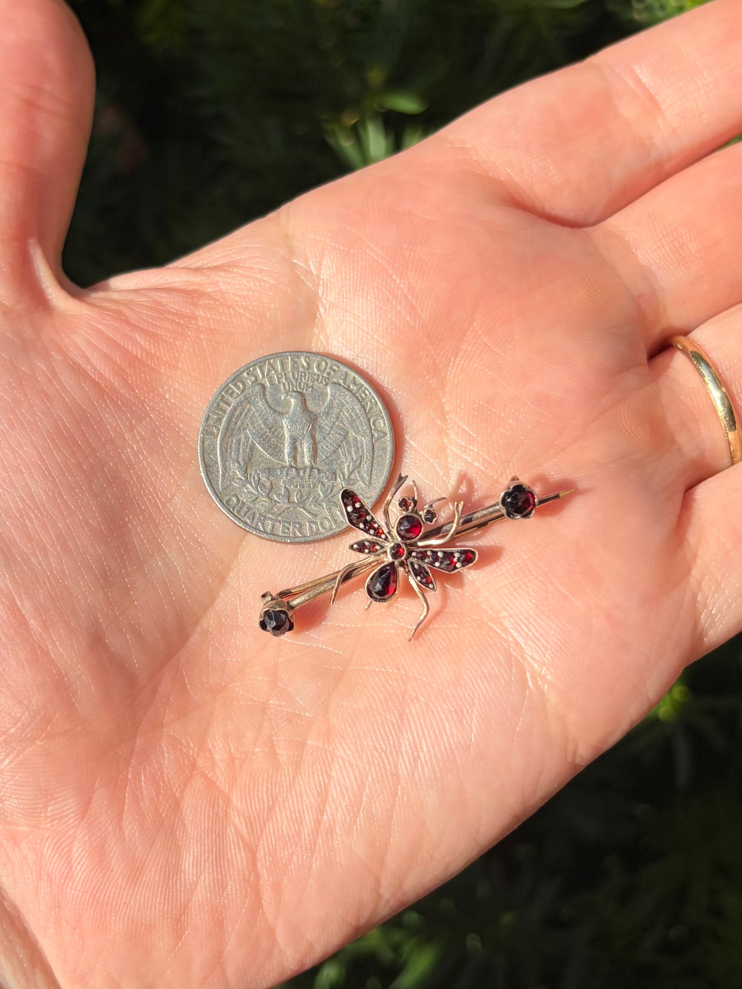 Victorian Garnet Bug Brooch