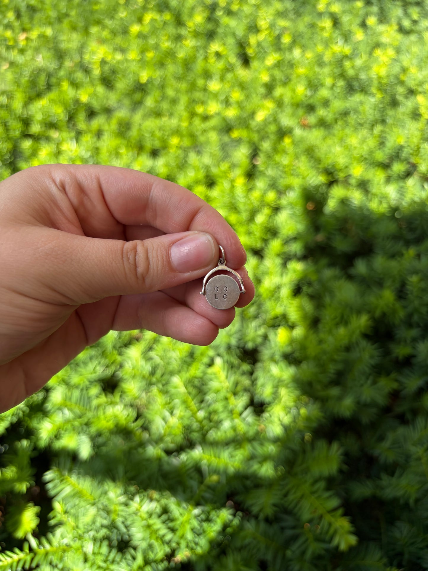 Vintage Good Luck Spinner