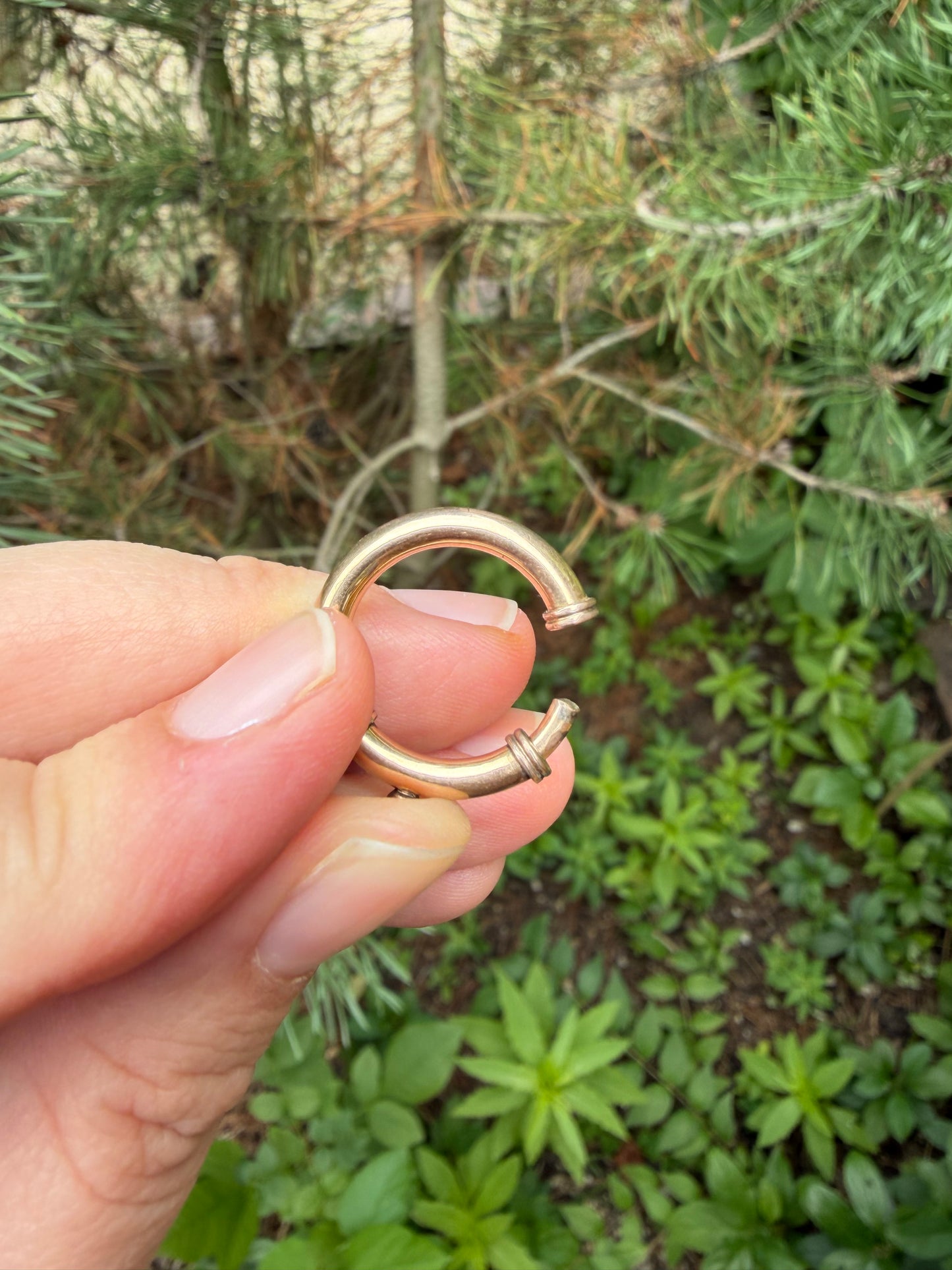 Victorian Bolt Clasp