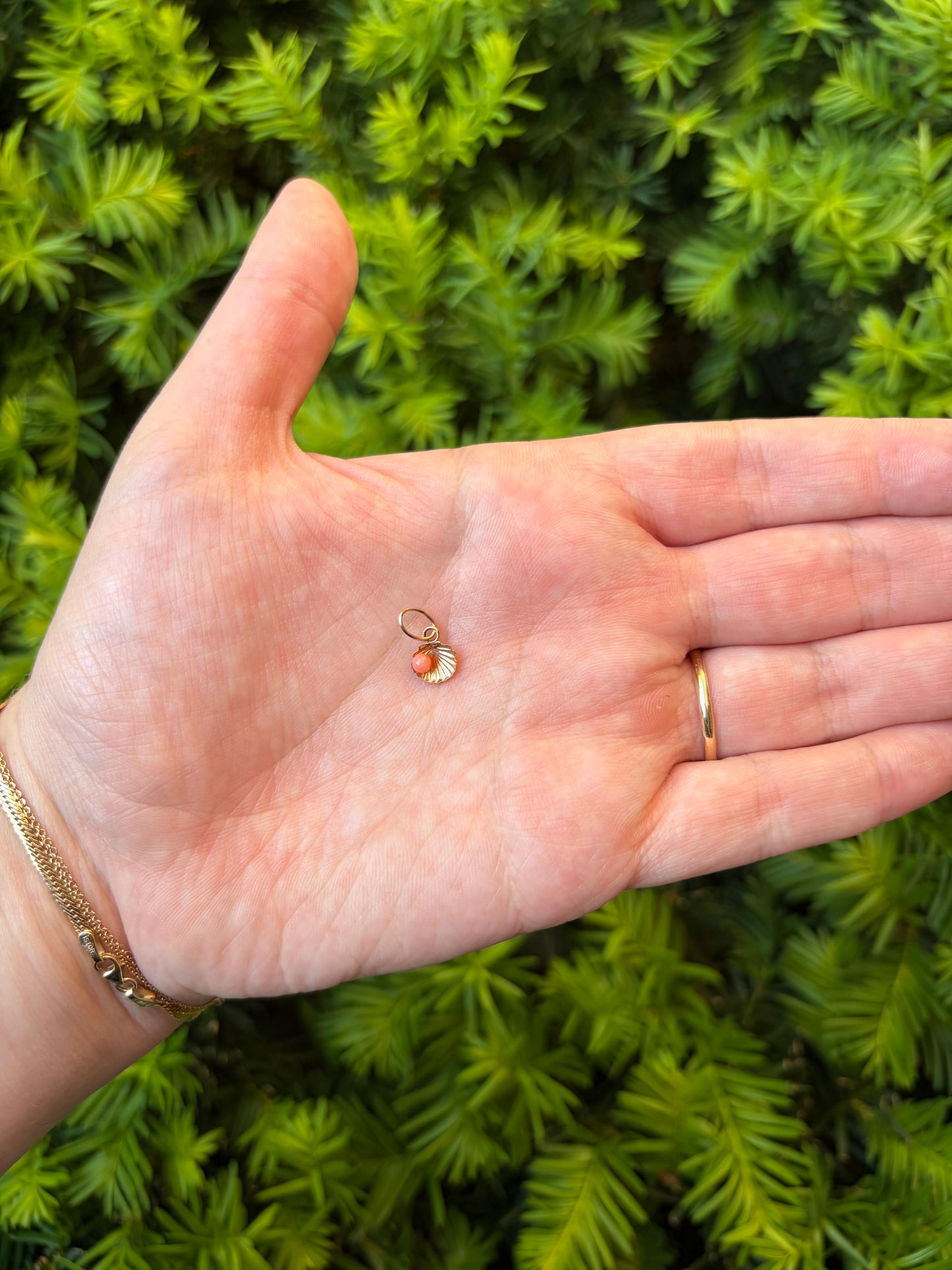14k Shell Charm