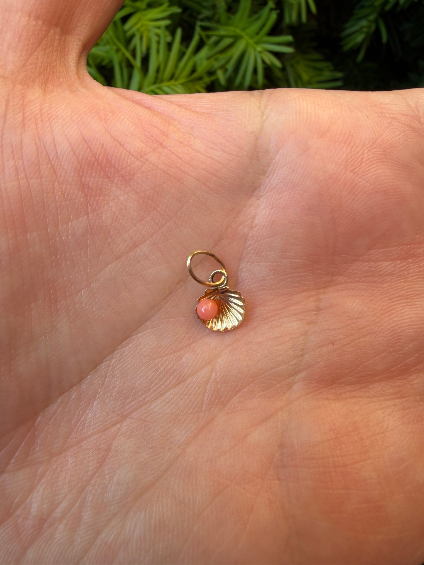 14k Shell Charm