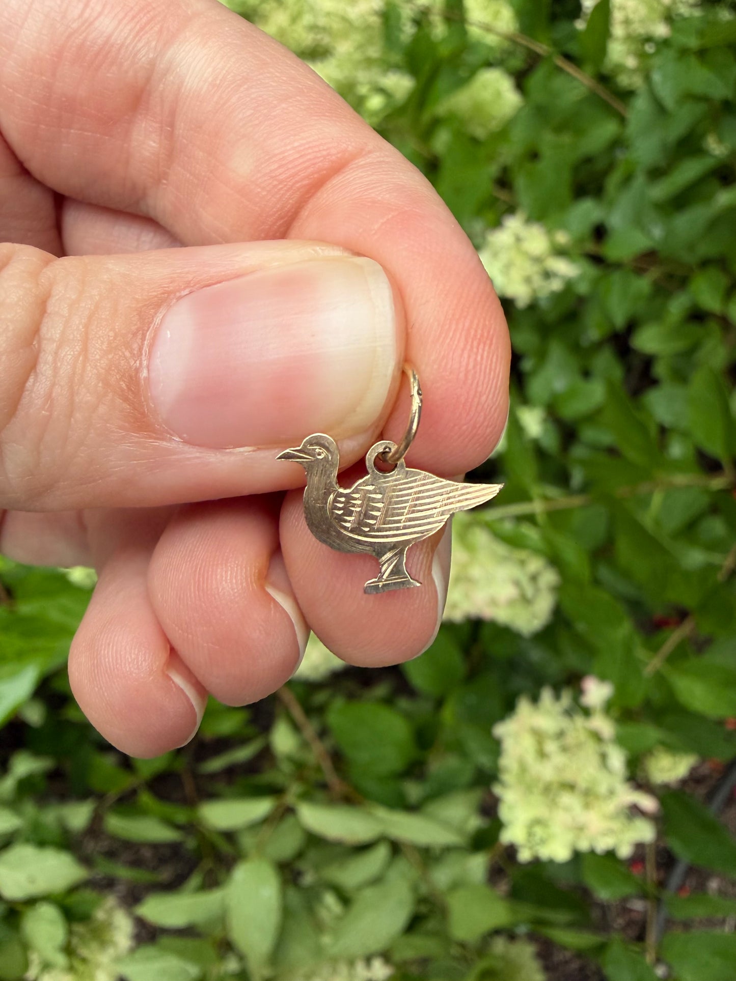 Seagull Charm