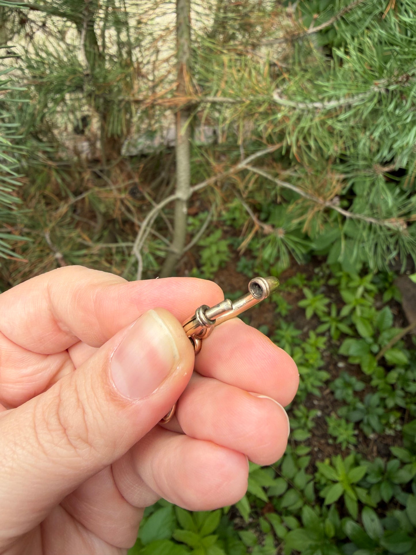 Victorian Bolt Clasp