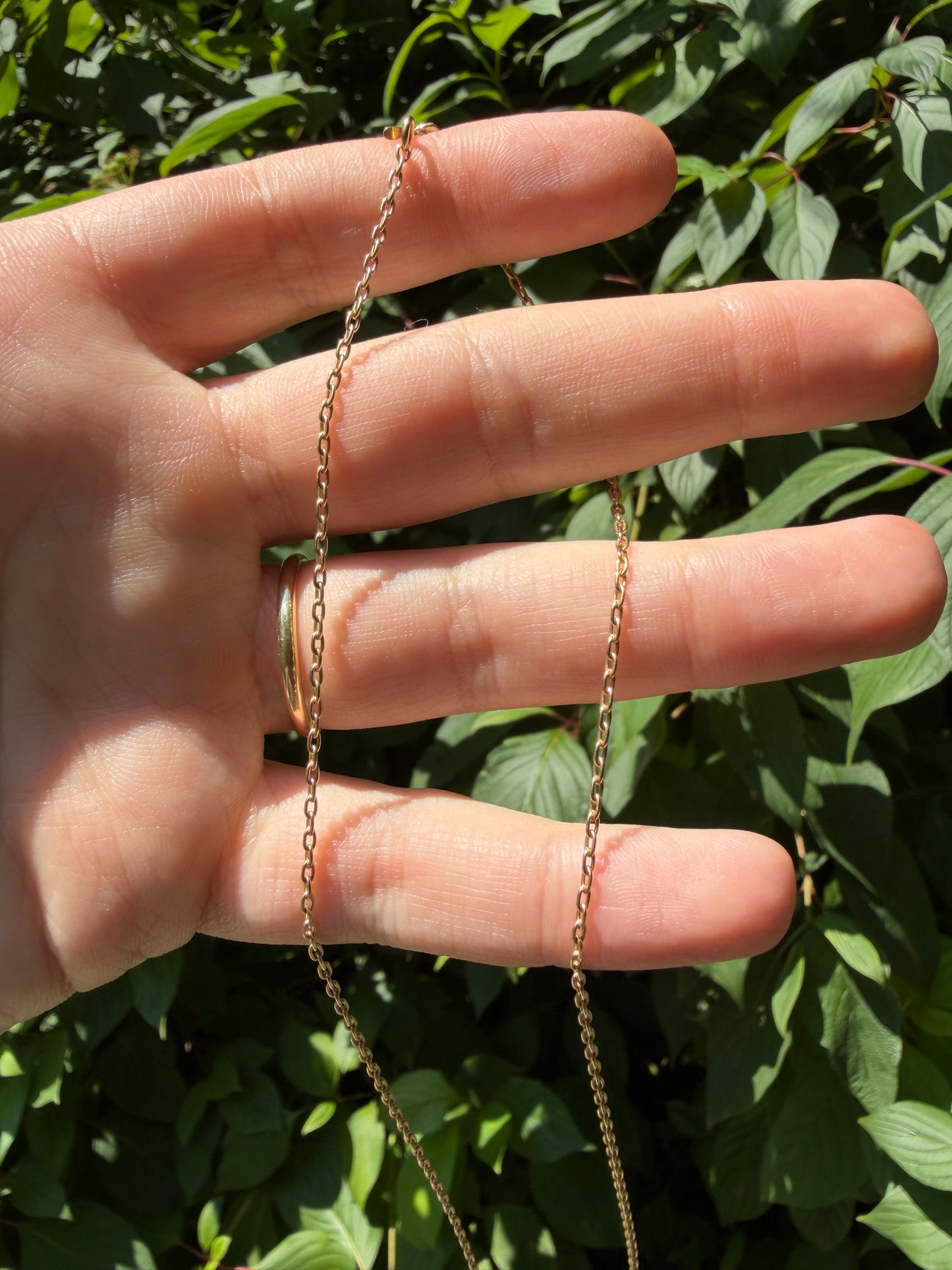 14k Medium Oval Rolo Chain