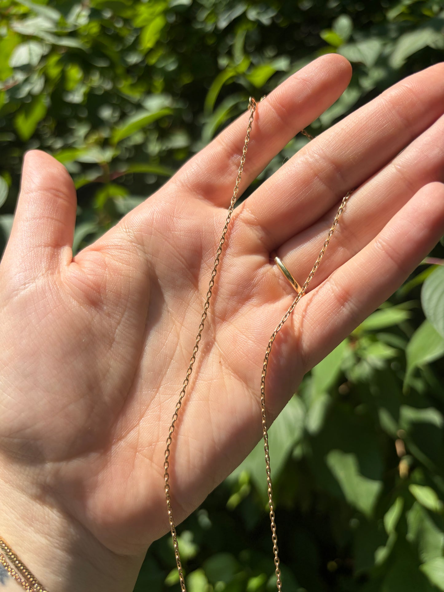 14k Medium Oval Rolo Chain