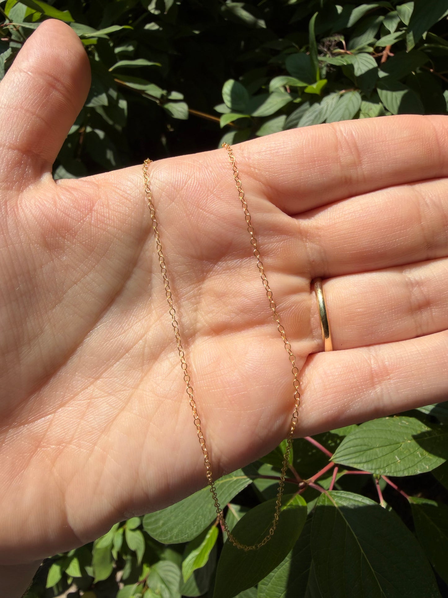 14k Circle Rolo Chain
