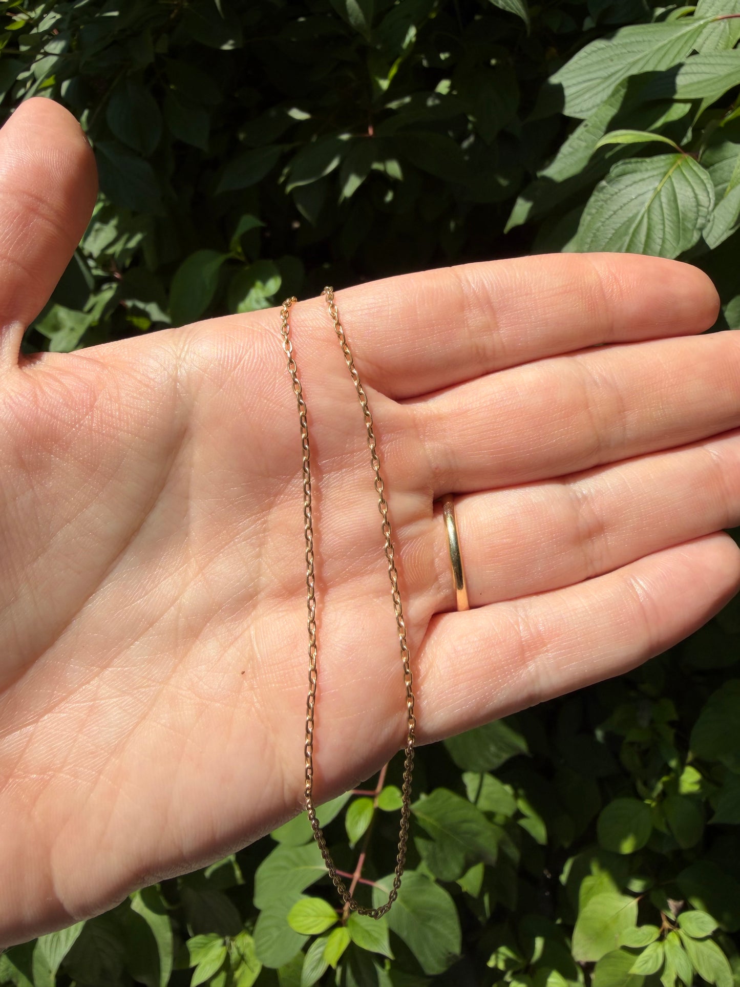 14k Medium Oval Rolo Chain