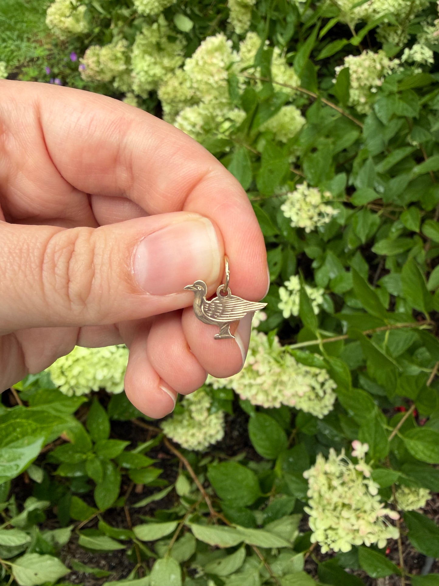 Seagull Charm