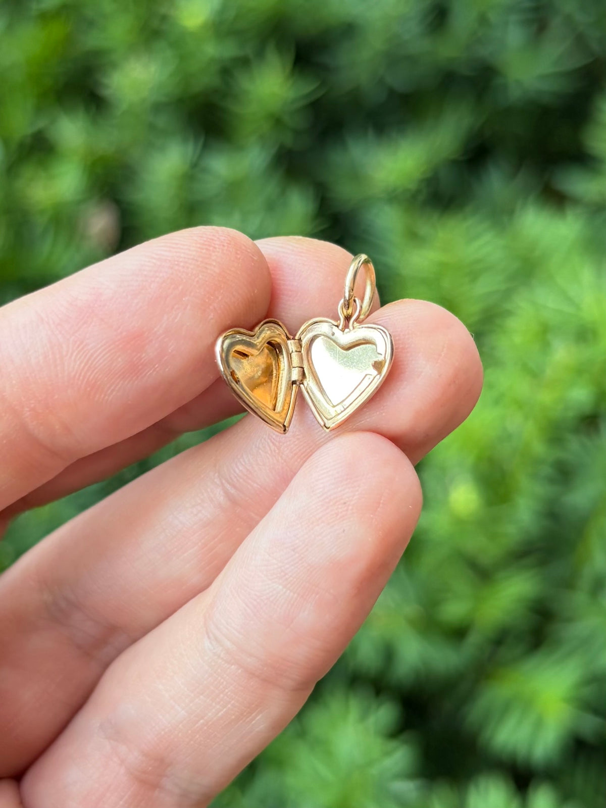 Petite Gold Heart Locket
