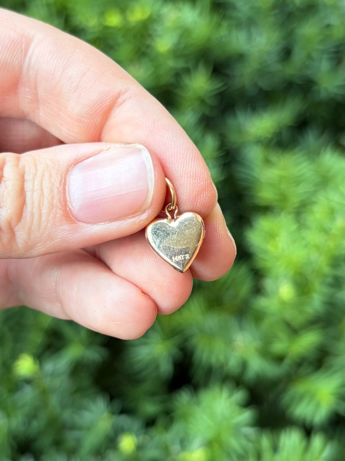 Petite Gold Heart Locket