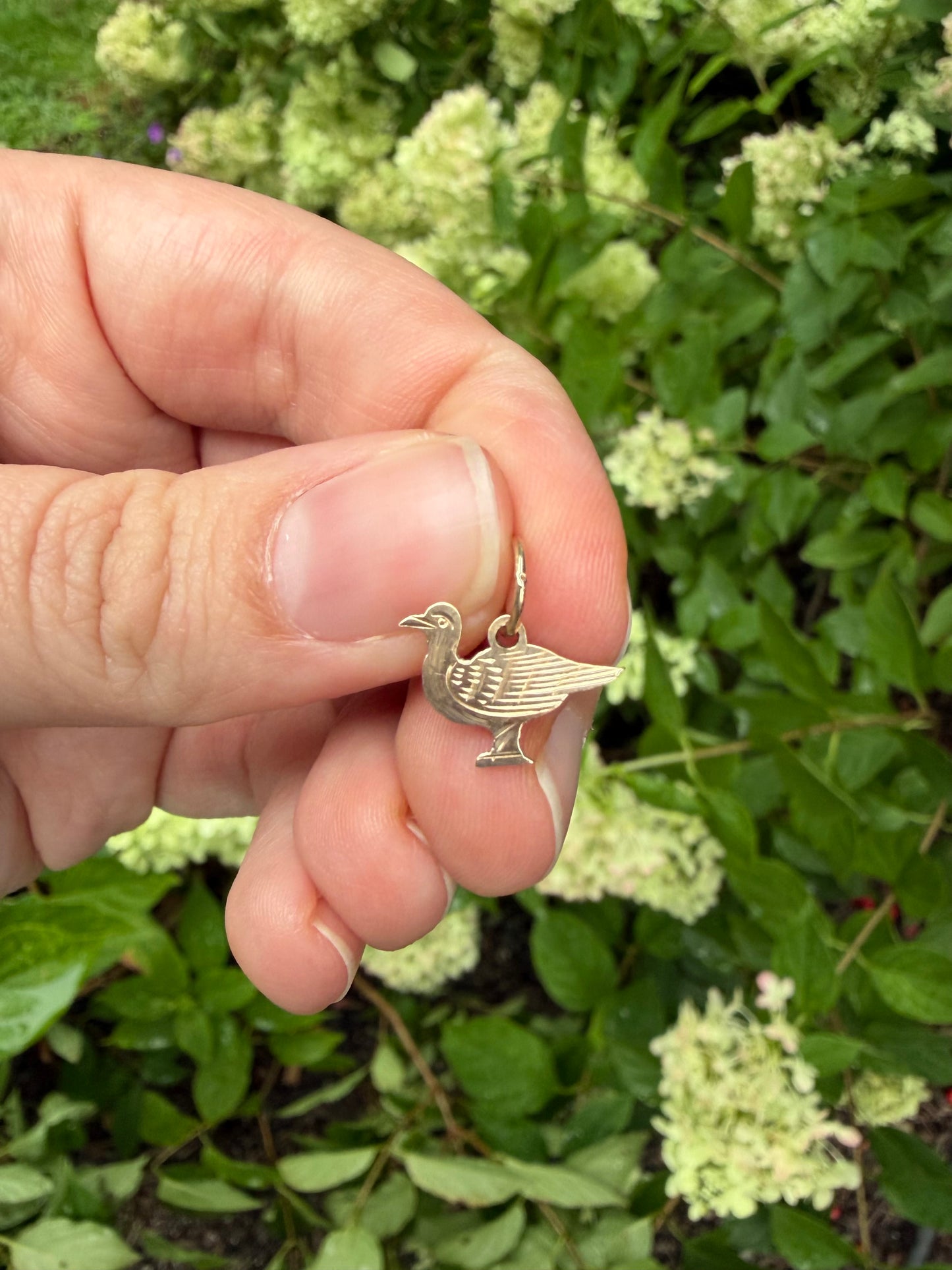 Seagull Charm