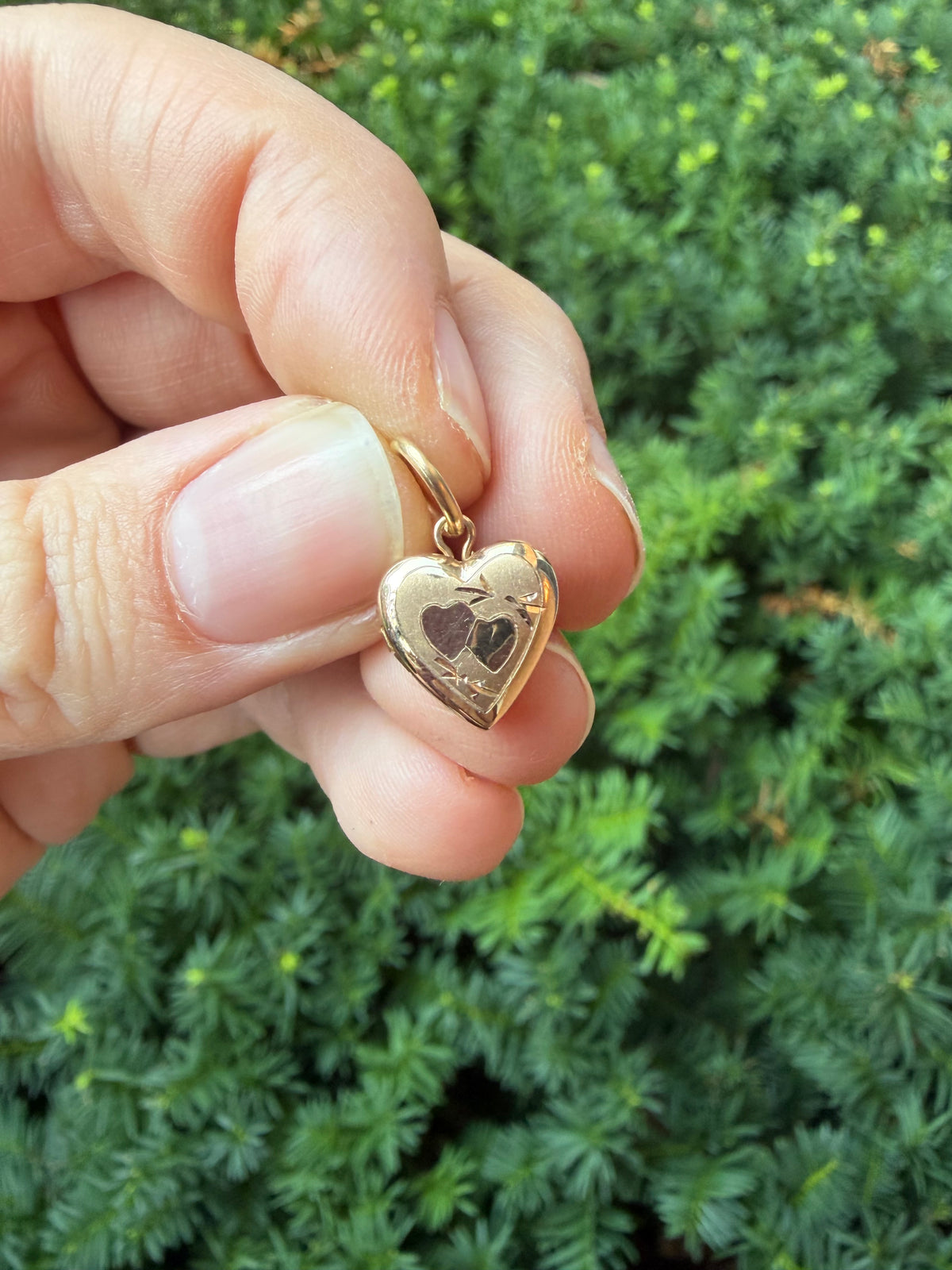 Petite Gold Heart Locket