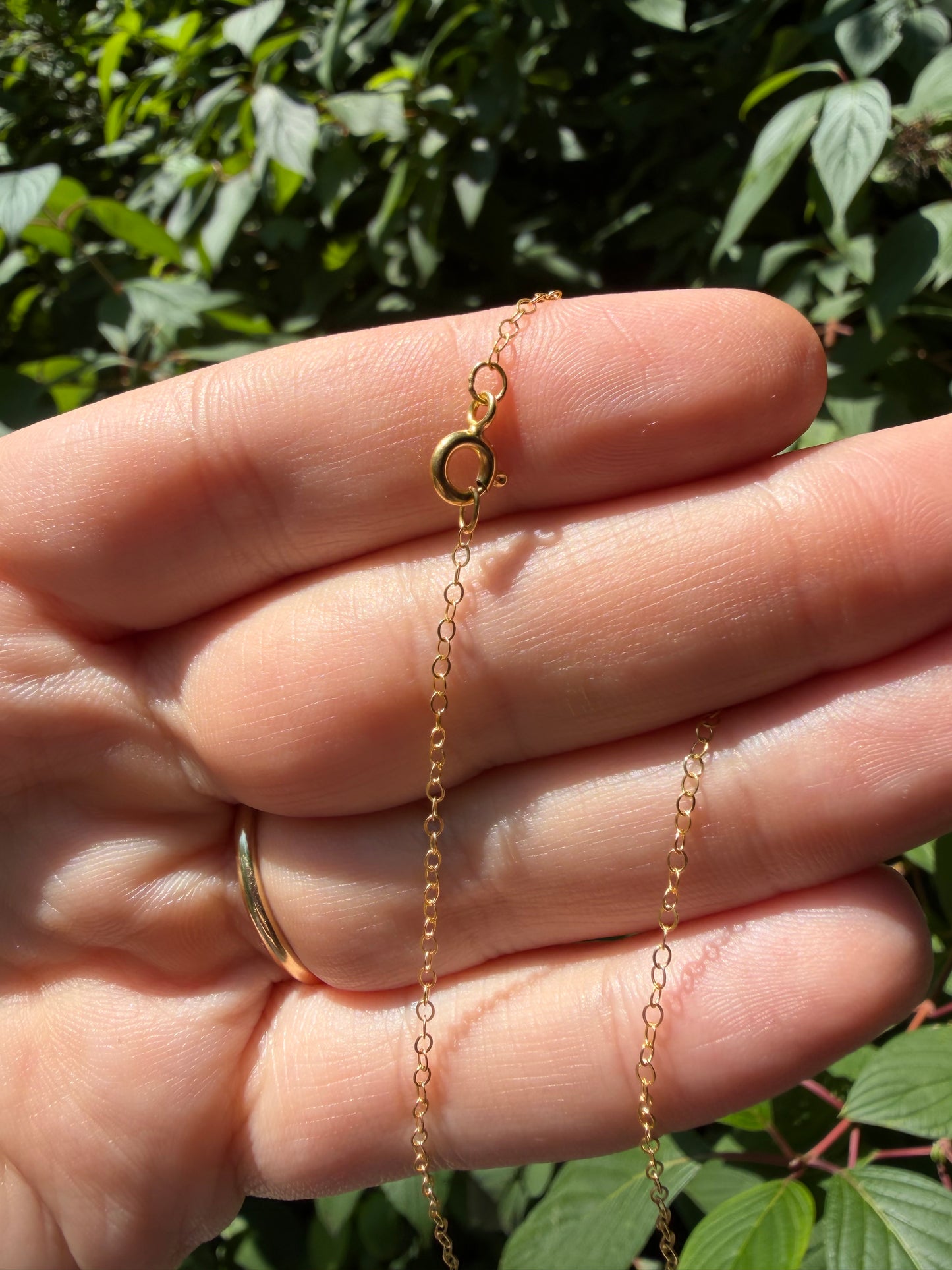 14k Circle Rolo Chain