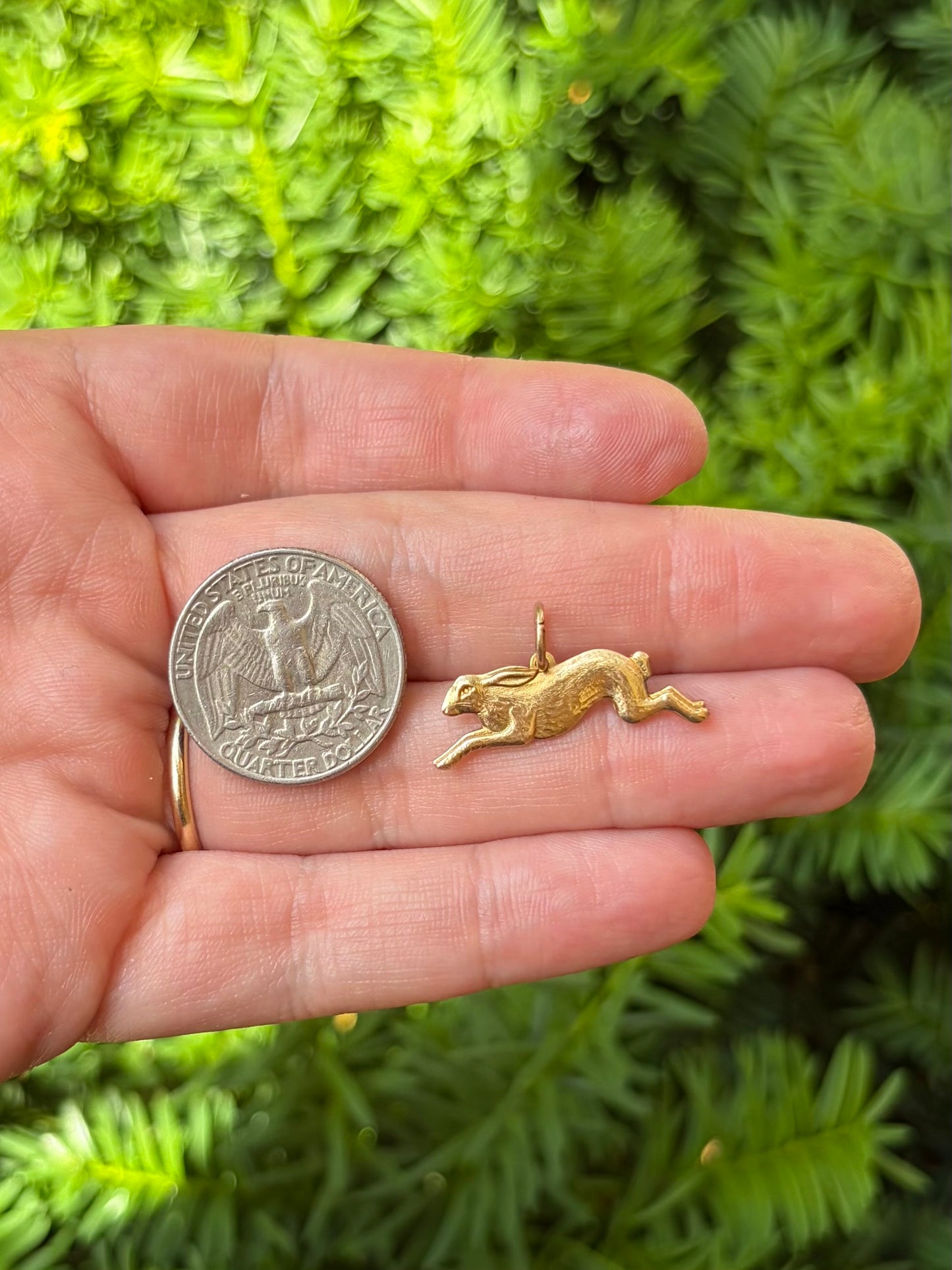 Brass Bunny