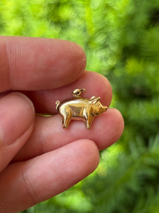 9k Lucky Pig