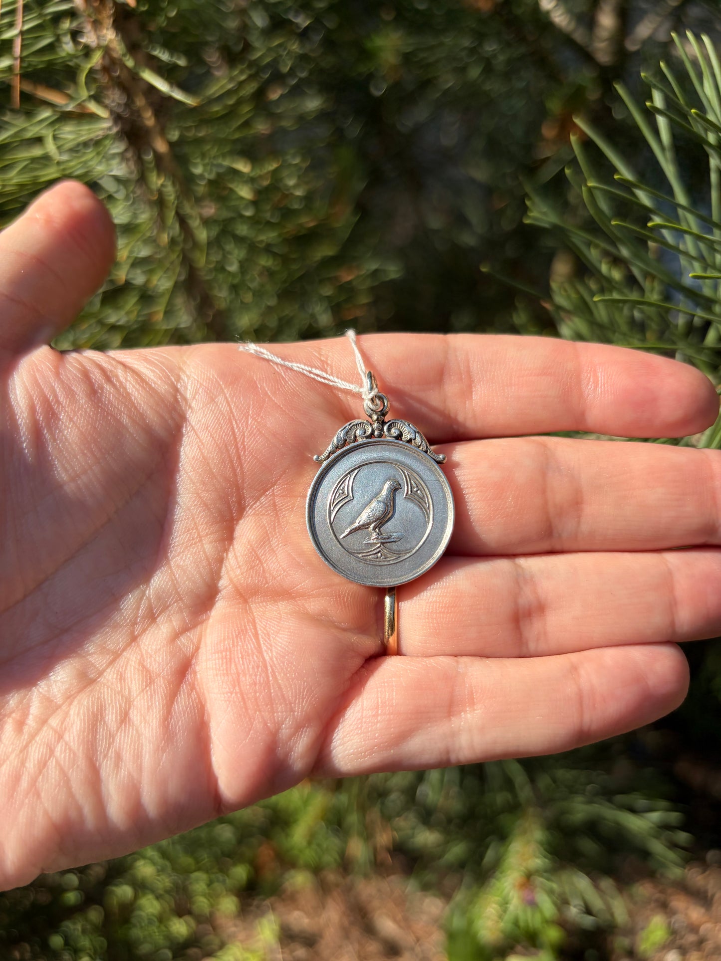 1925 Pigeon Racing Medal