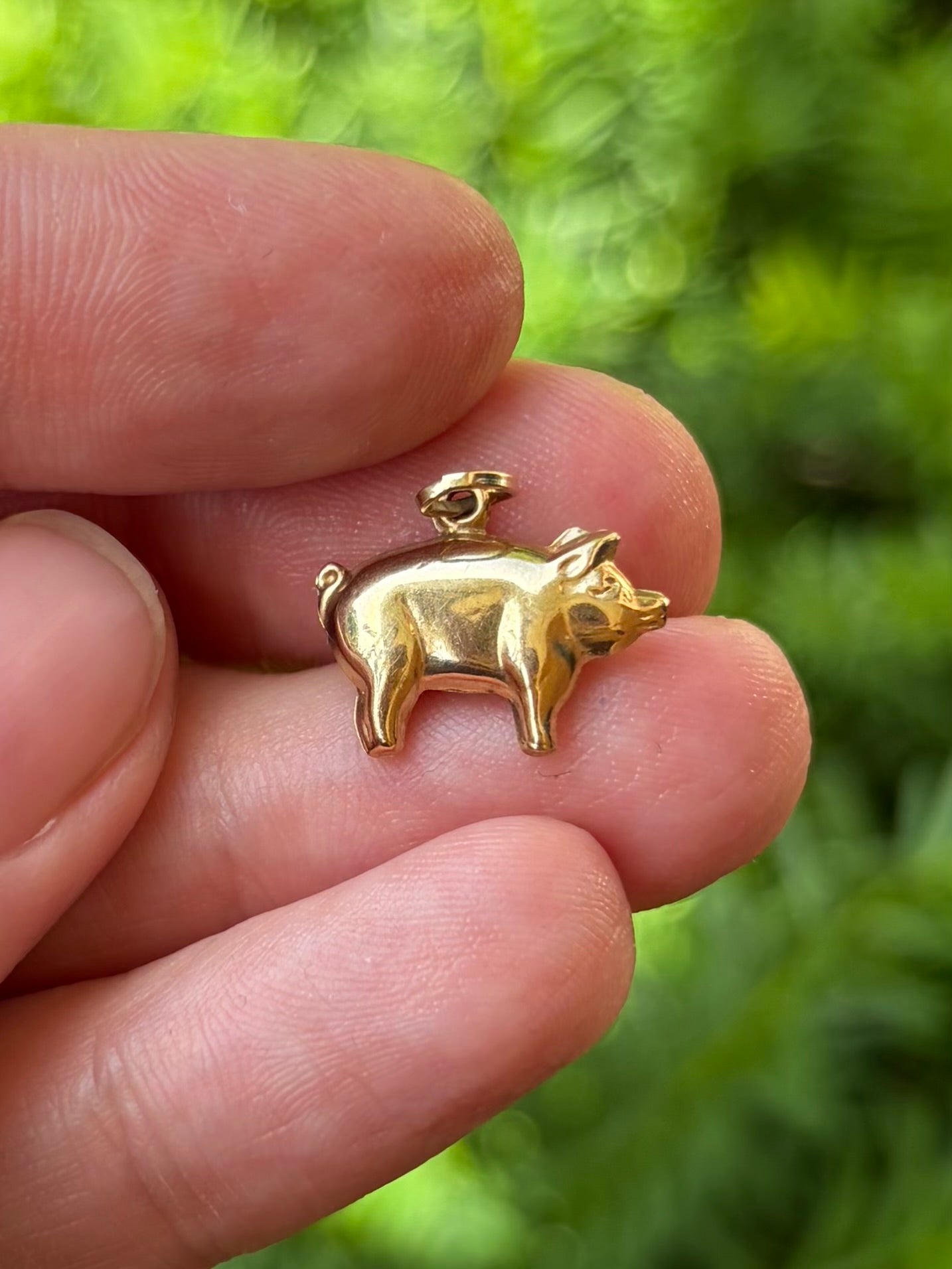 9k Lucky Pig
