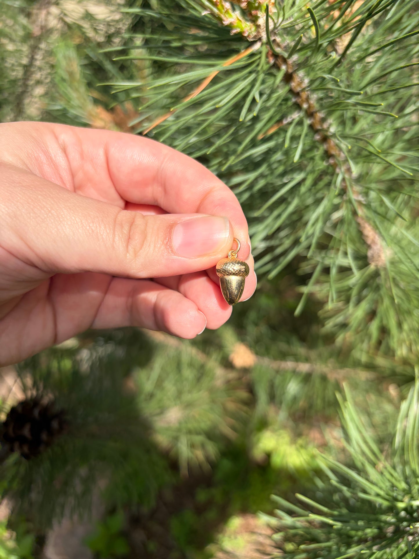 9k Acorn