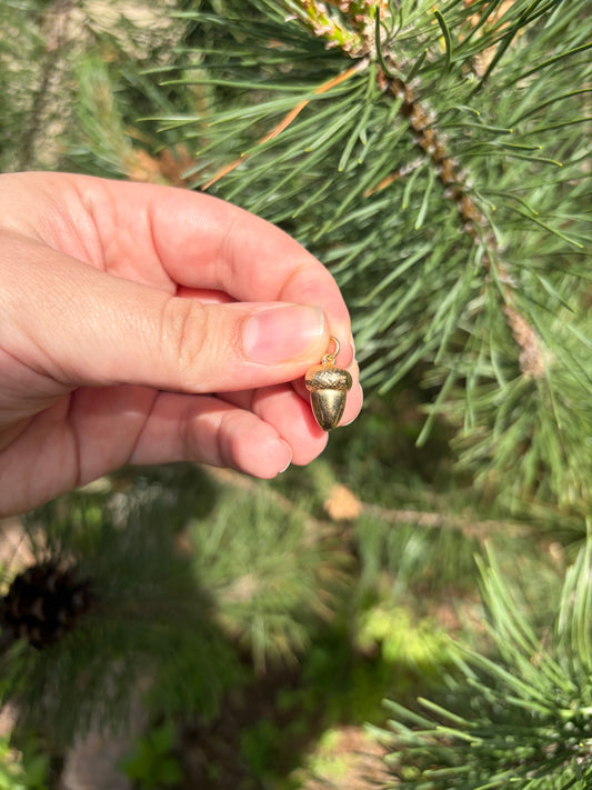 9k Acorn