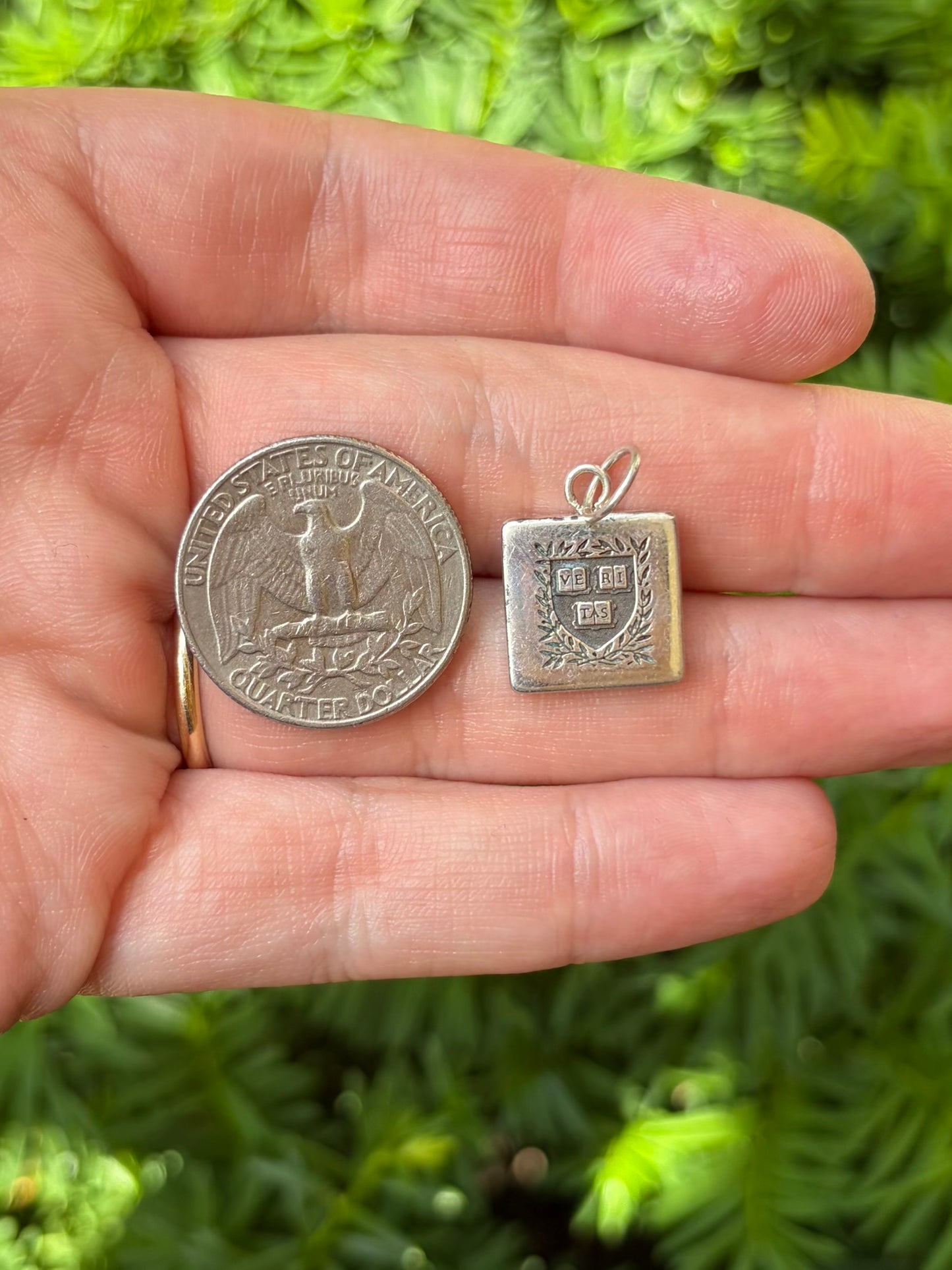 Harvard Charm