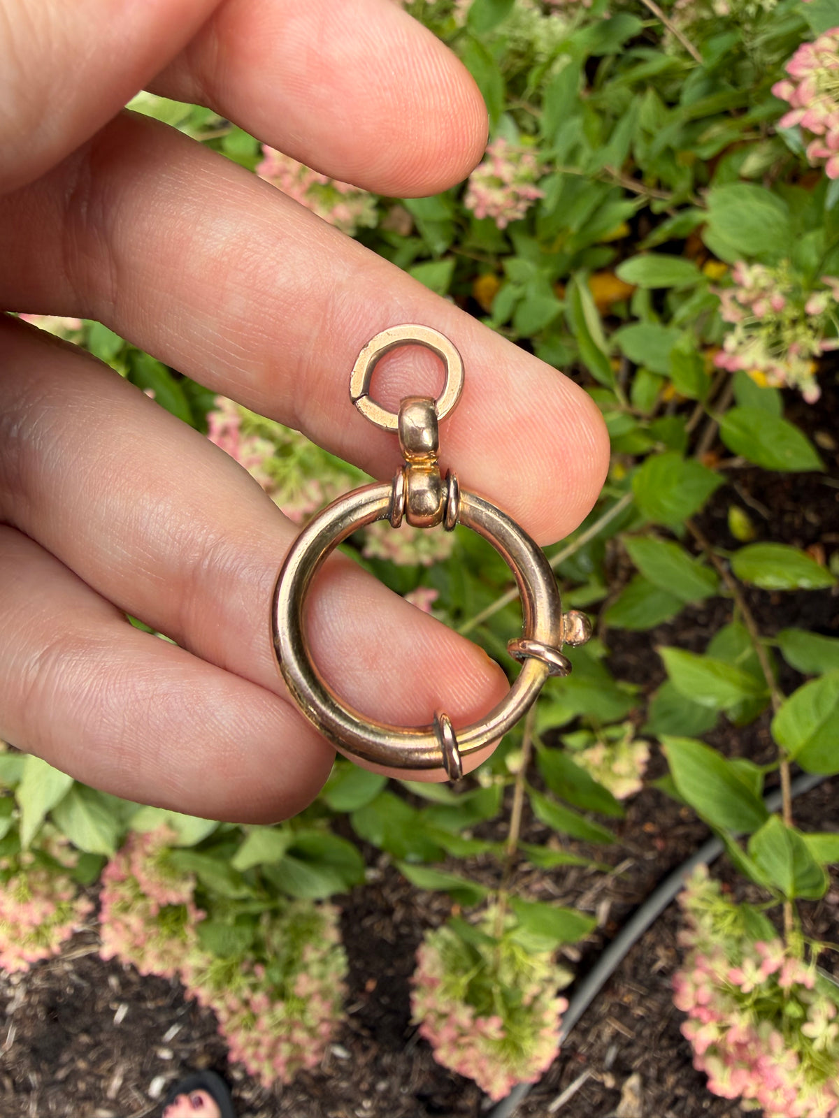 Victorian Bolt Clasp
