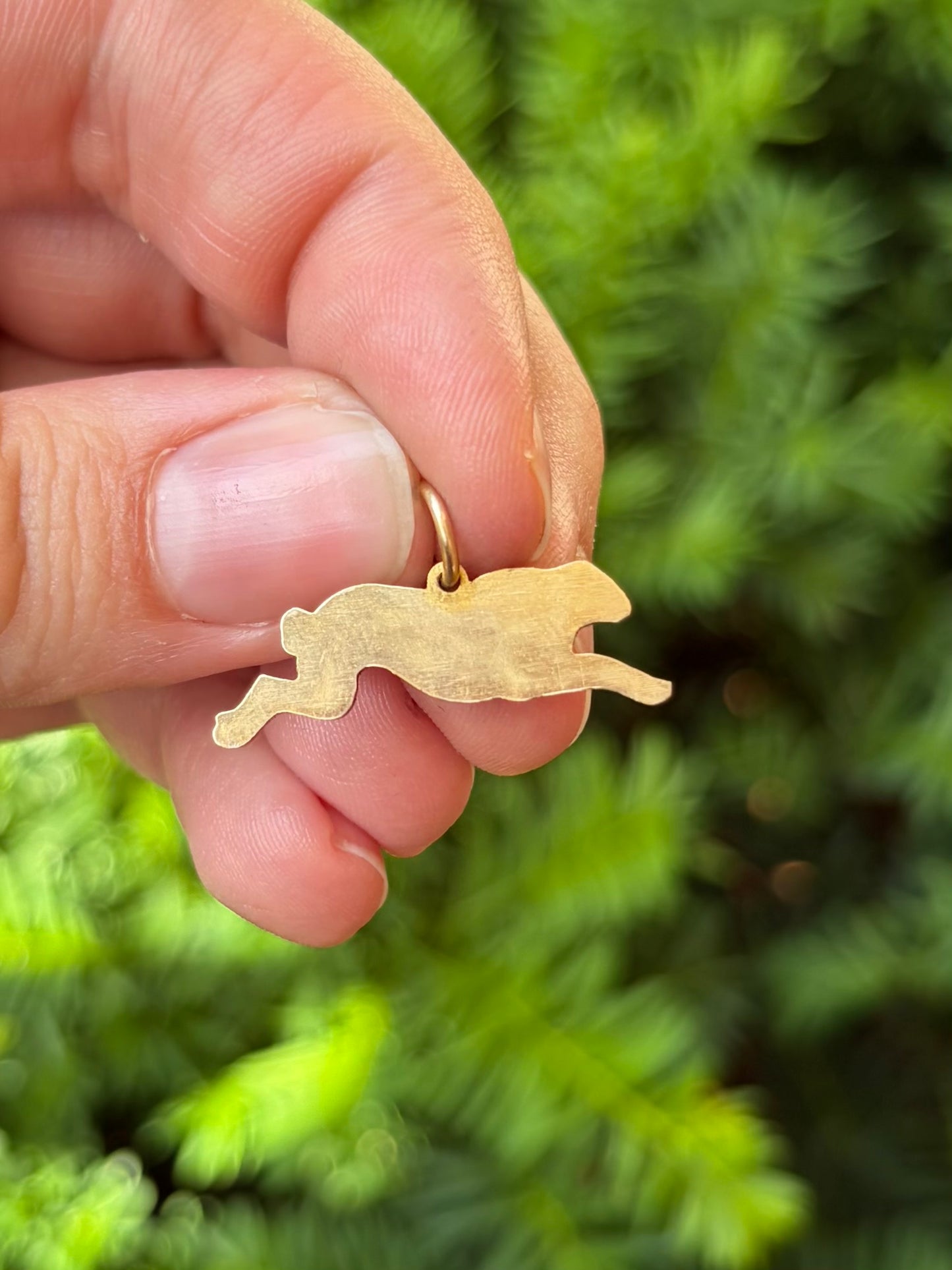 Brass Bunny