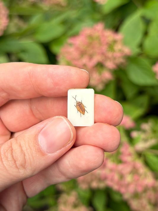 Shibayama Insect Charm 2