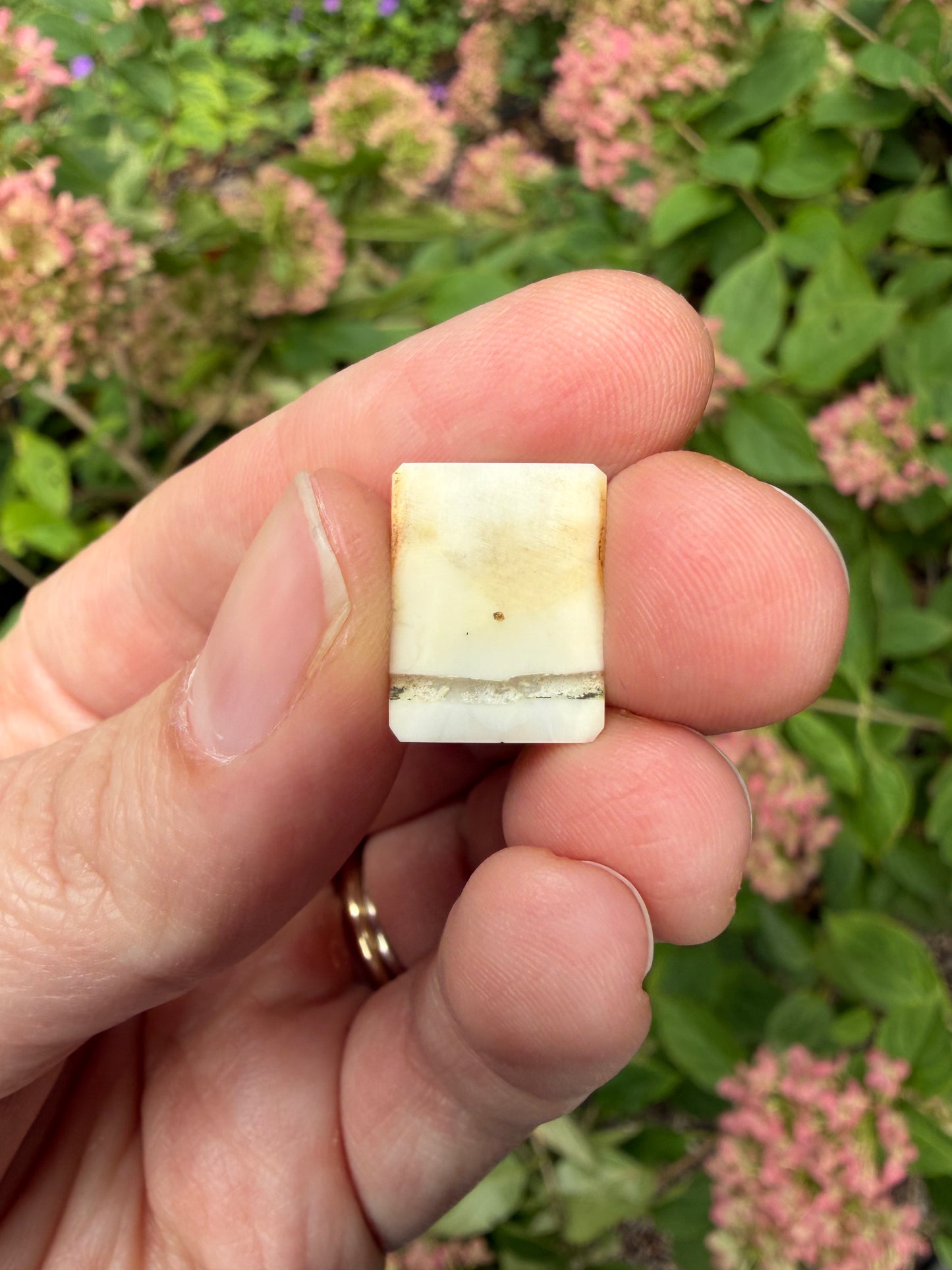 Shibayama Insect Charm 3