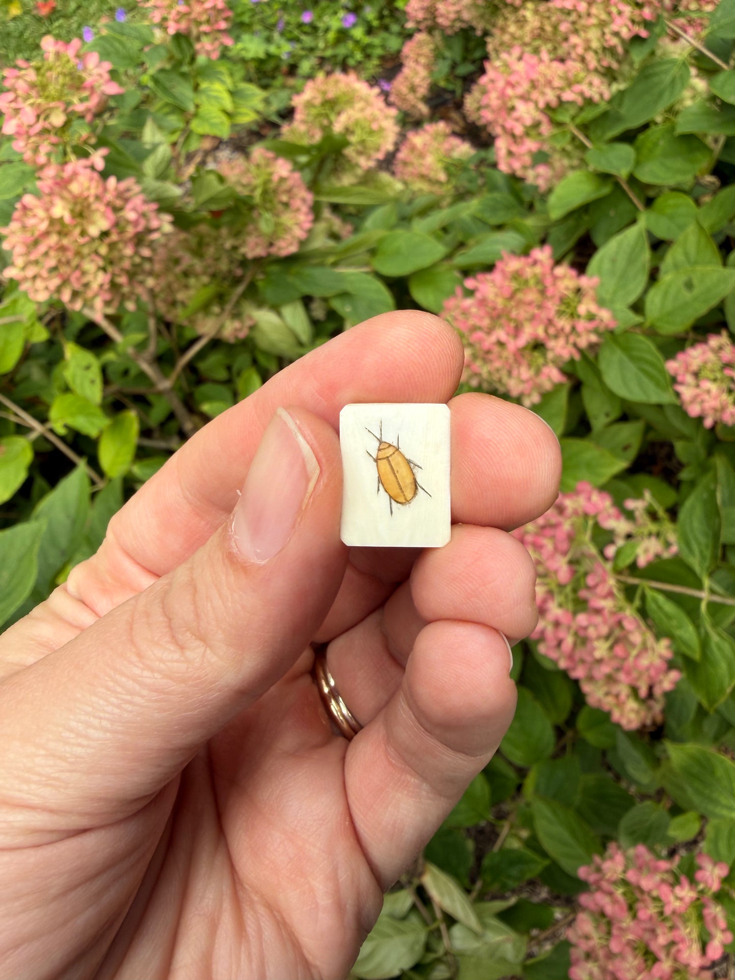 Shibayama Insect Charm 4