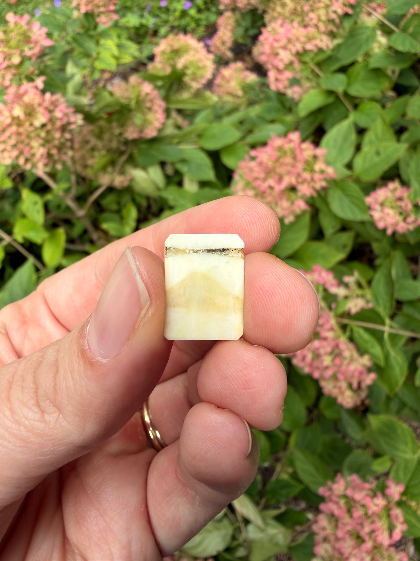 Shibayama Insect Charm 4
