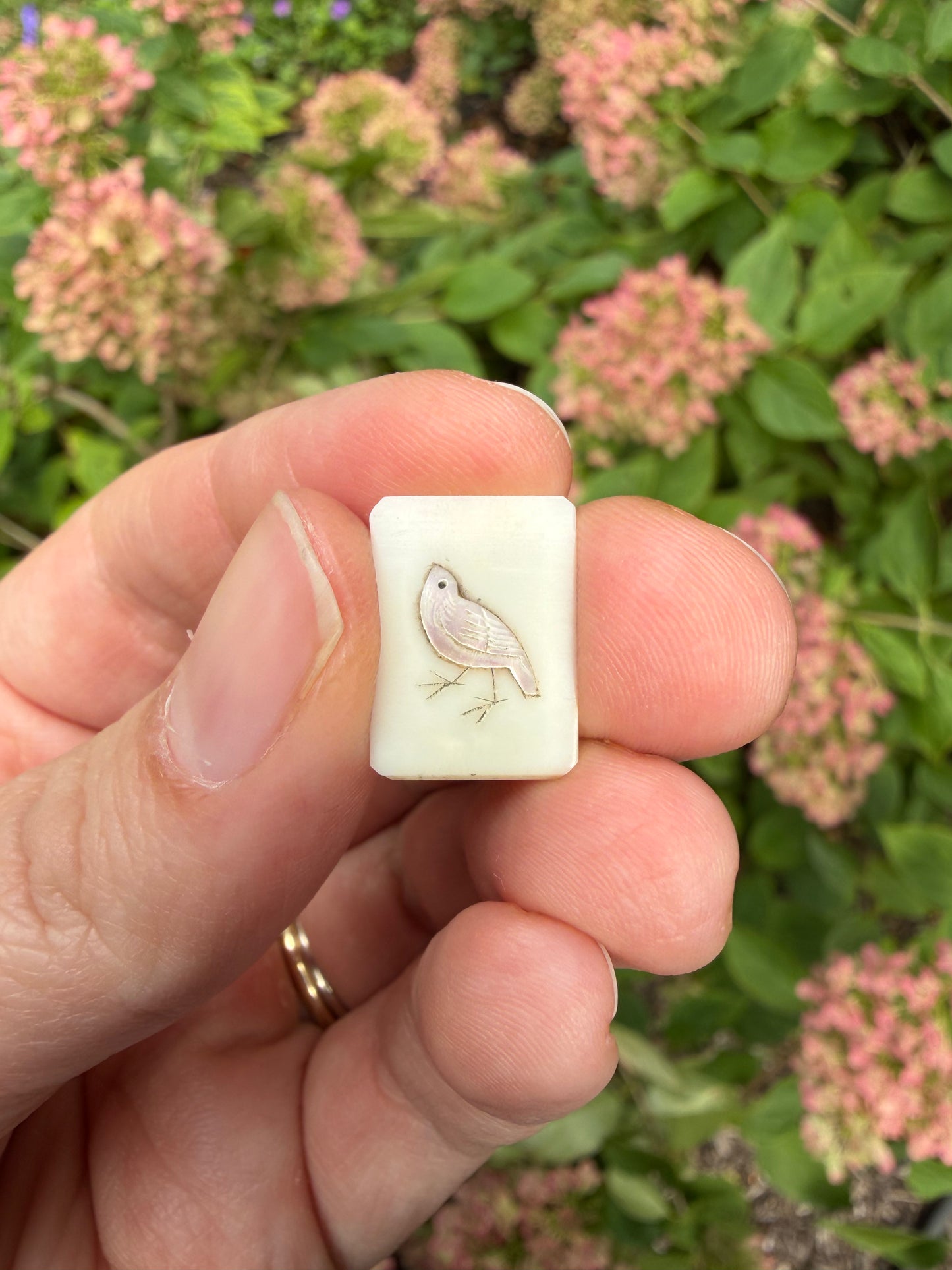 Shibayama Insect Charm 5