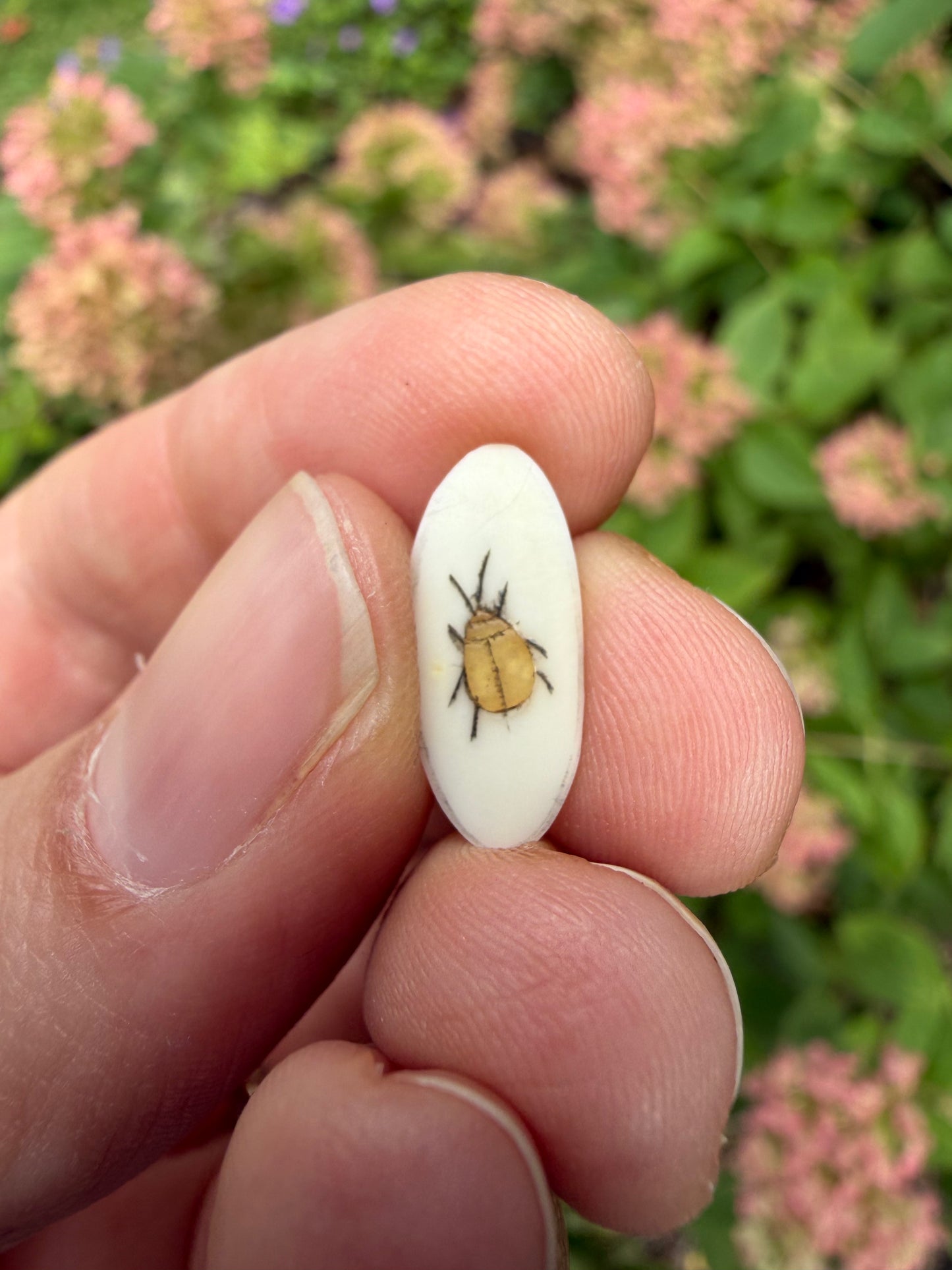 Shibayama Insect Charm 7