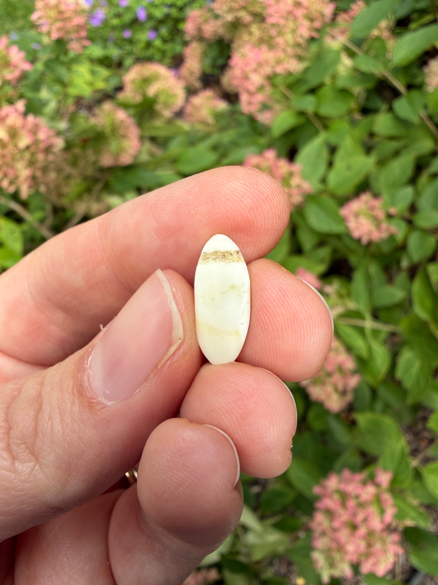 Shibayama Insect Charm 7