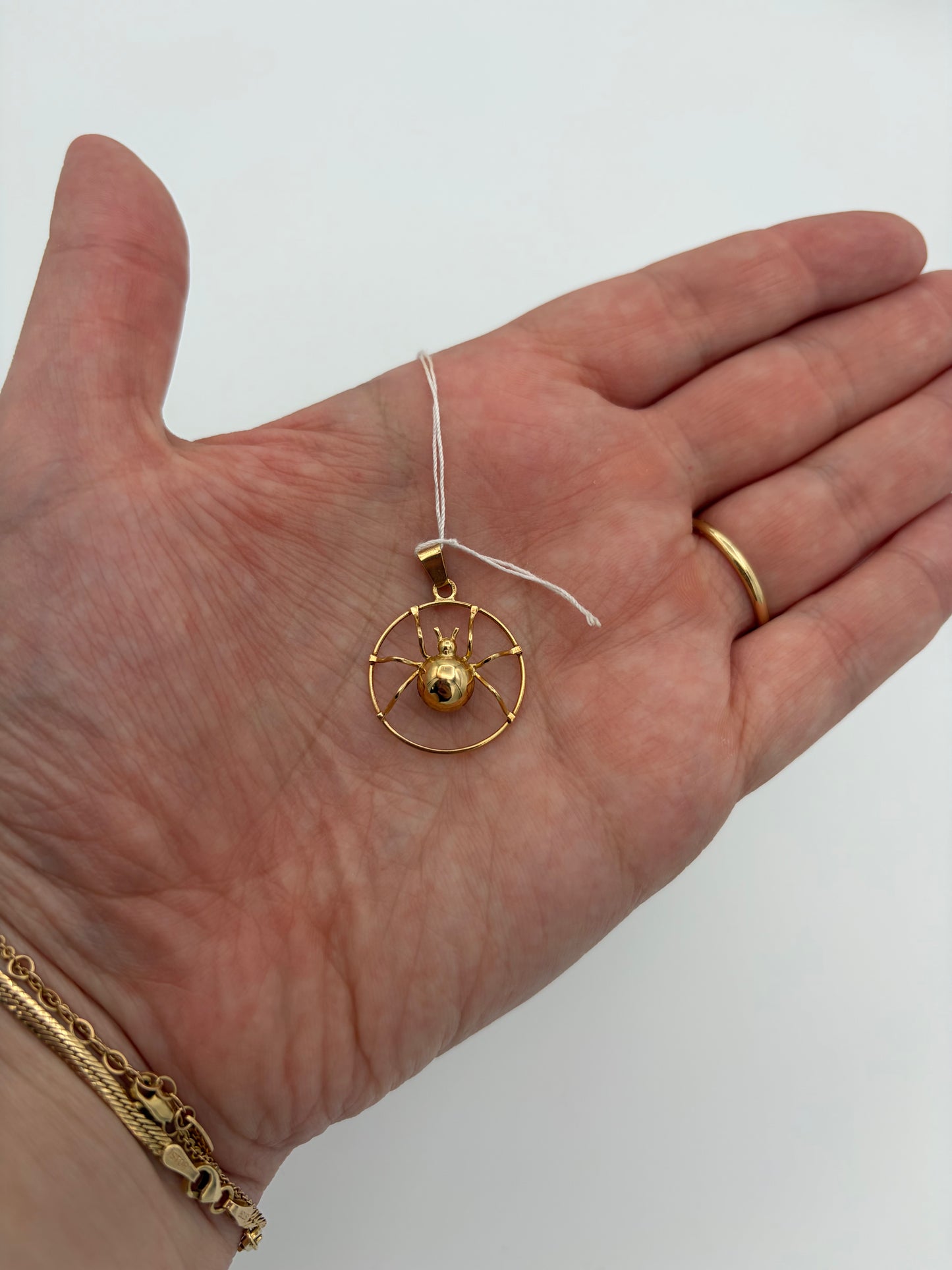 14k Spider