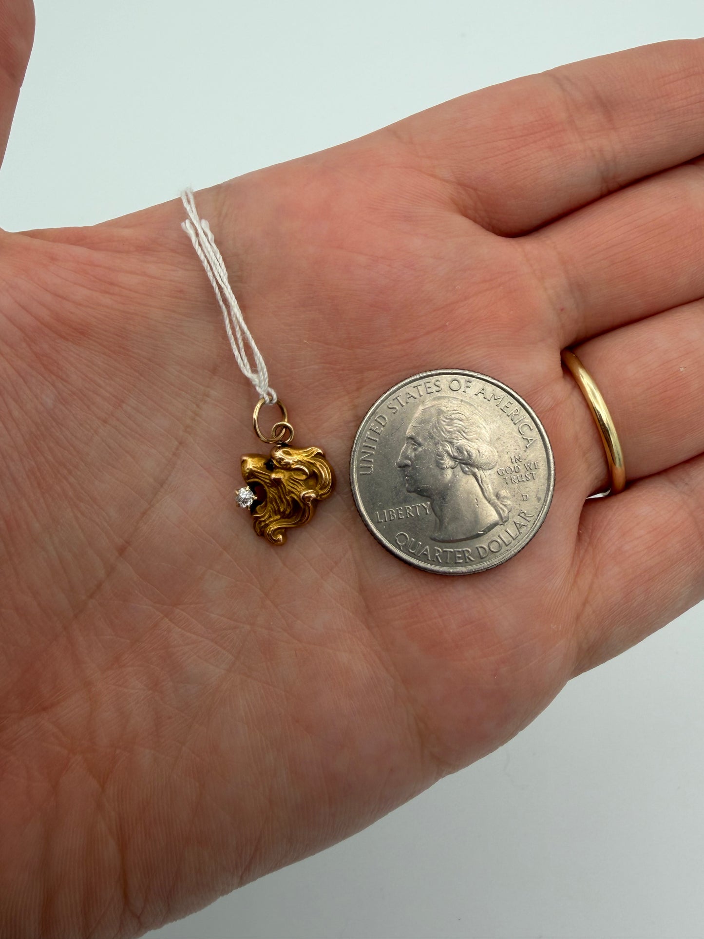 14k Lion