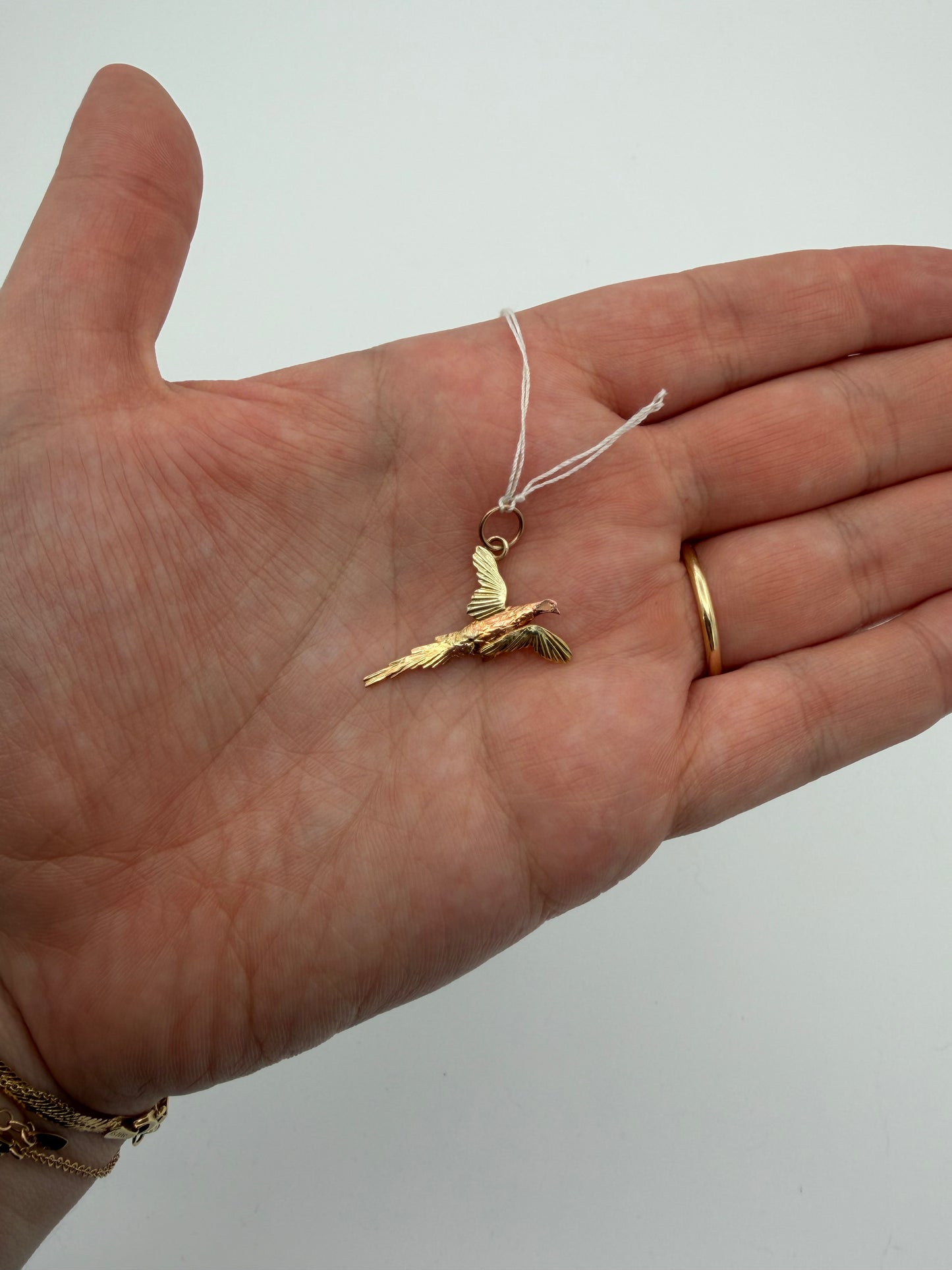 14k Parrot