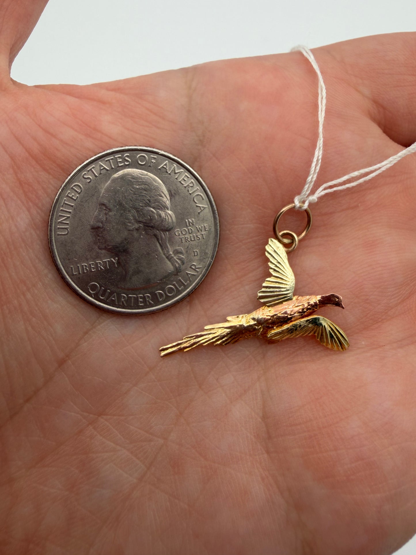 14k Parrot