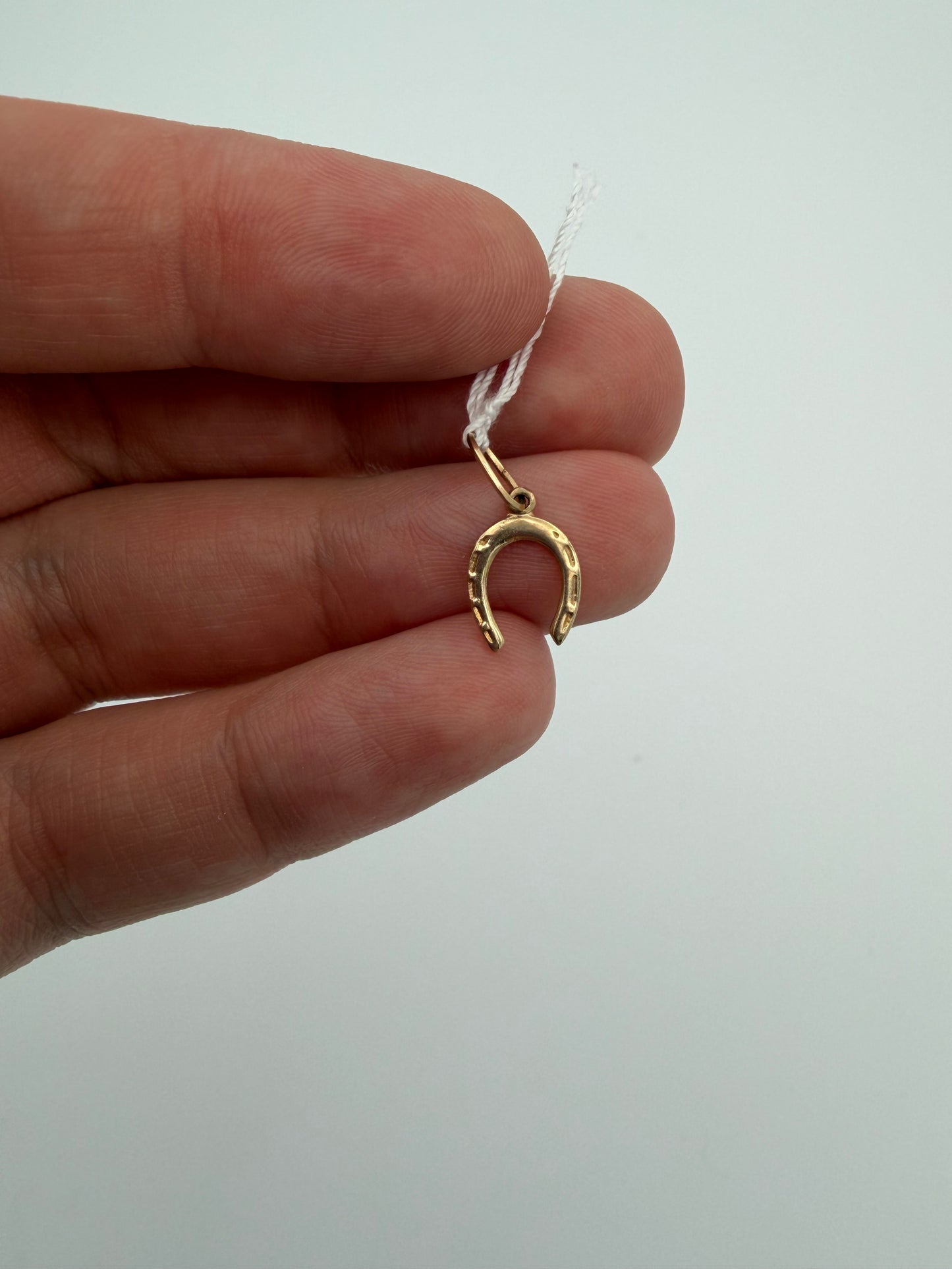 10k Horseshoe