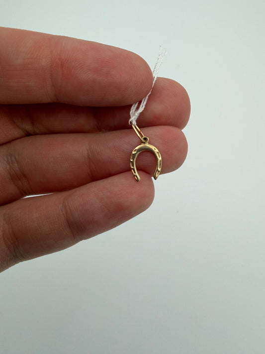 10k Horseshoe