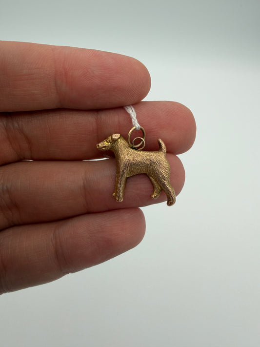 9k Terrier