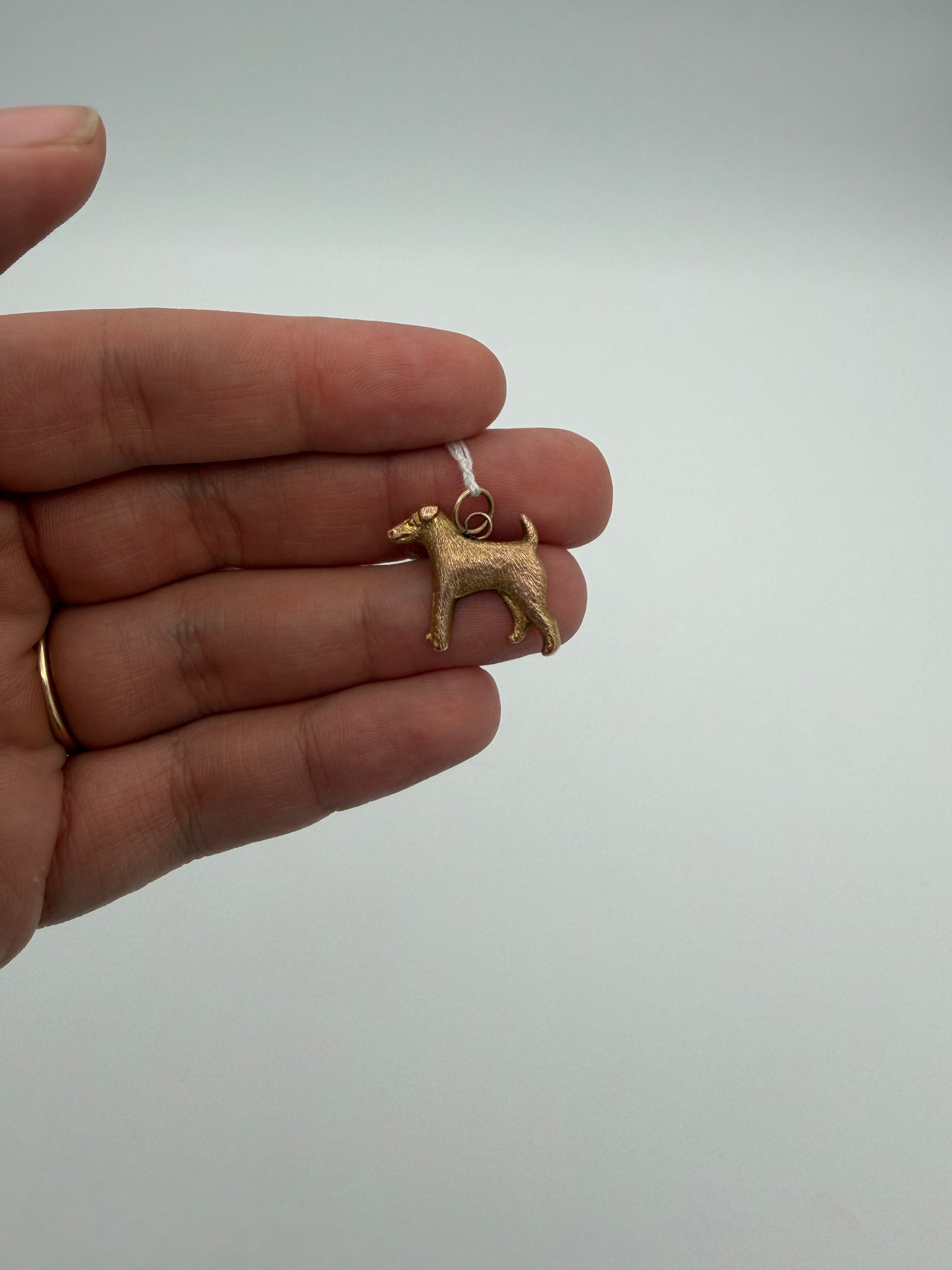 9k Terrier